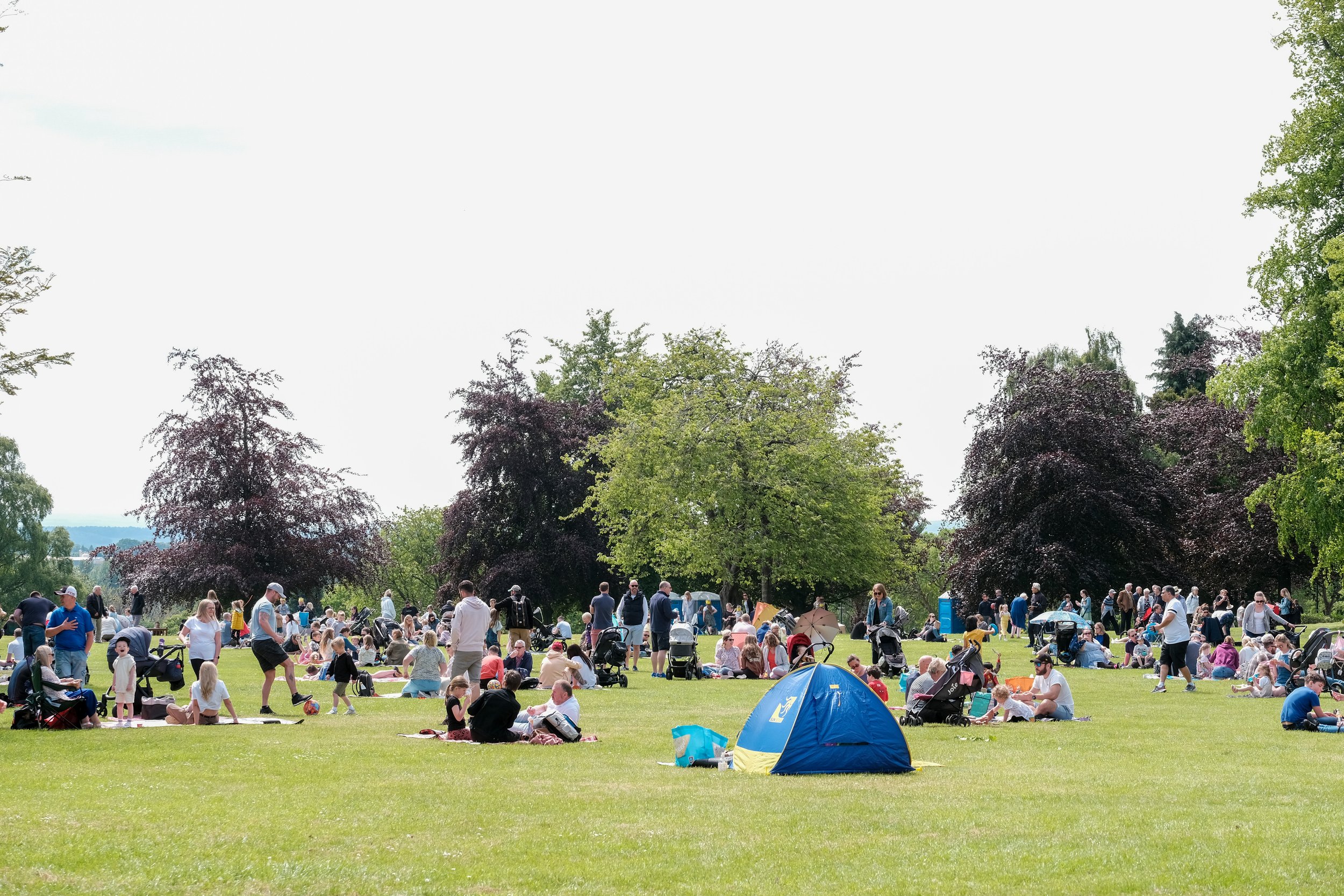 Picnics on the lawn.JPG