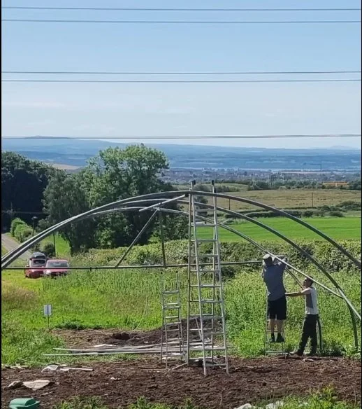 The Sanctuary Garden - New Poly Tunnel