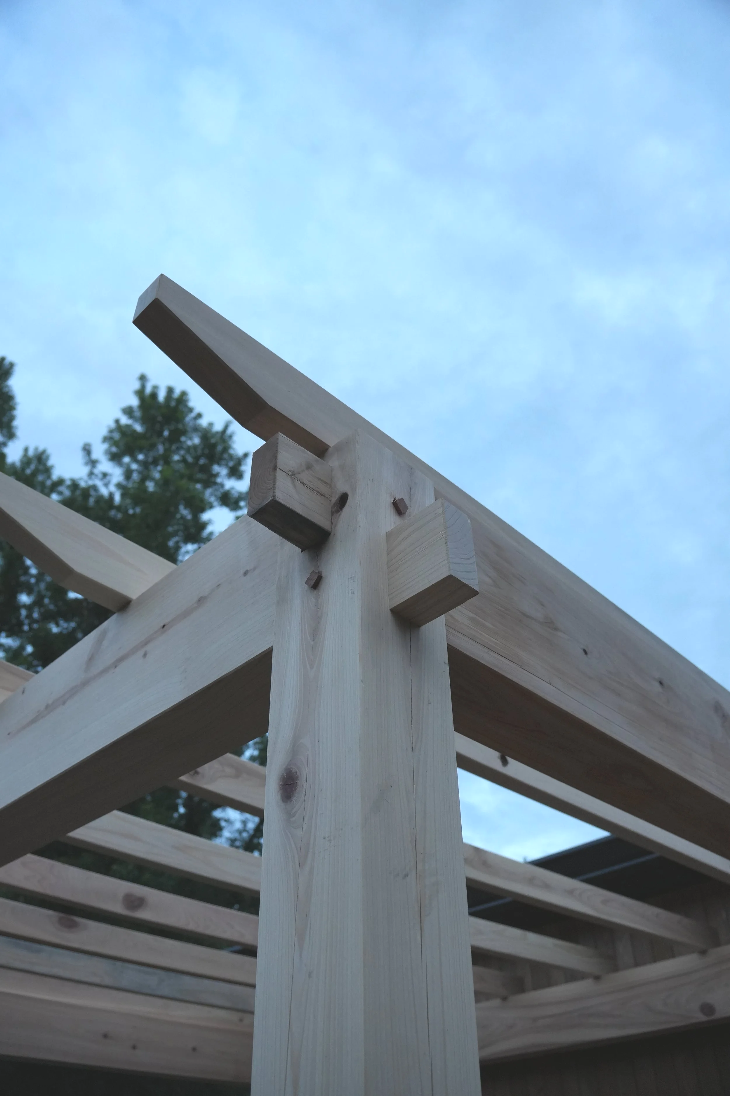 Cartwright Pergola