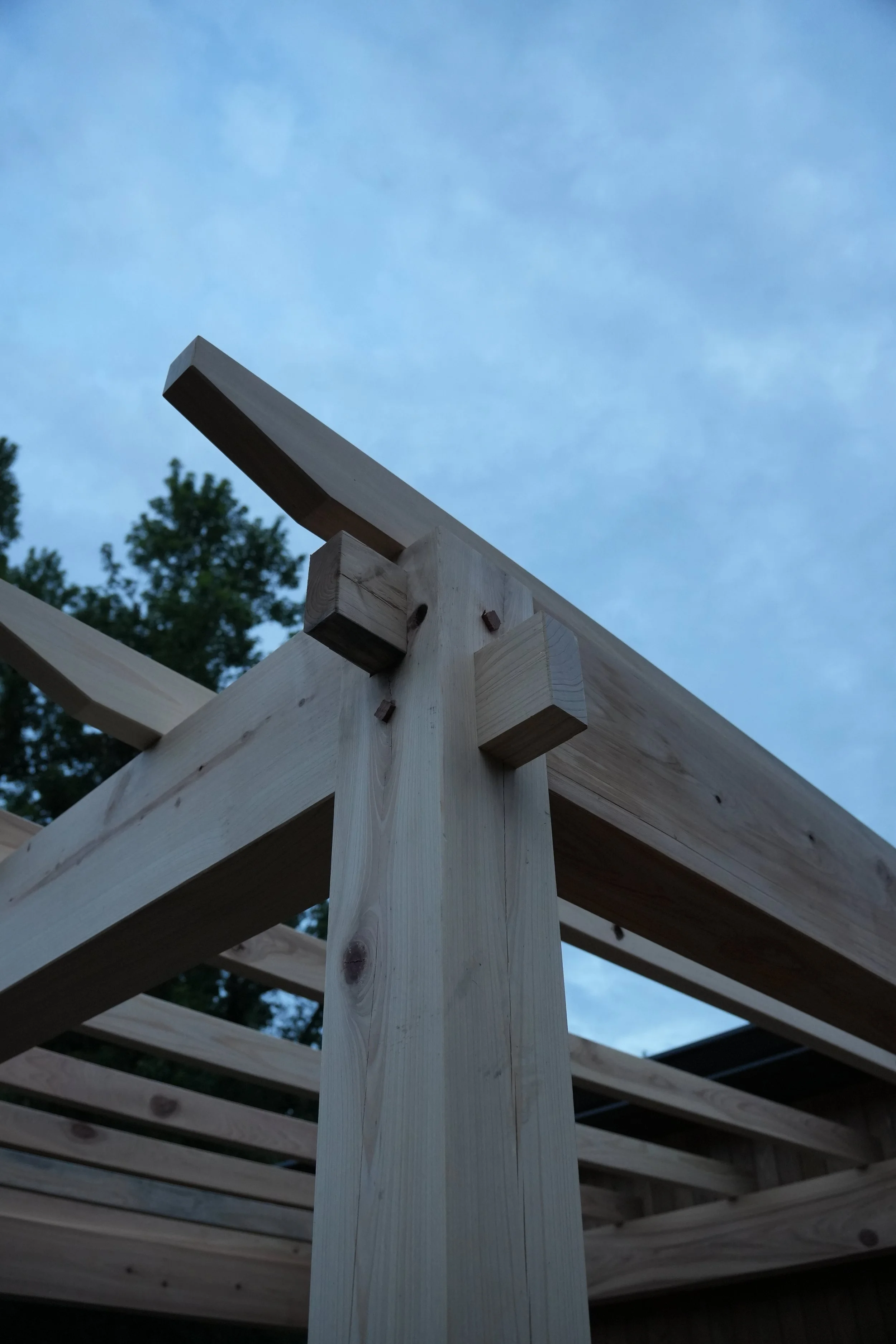 Cartwright Pergola - Detail 2.JPG