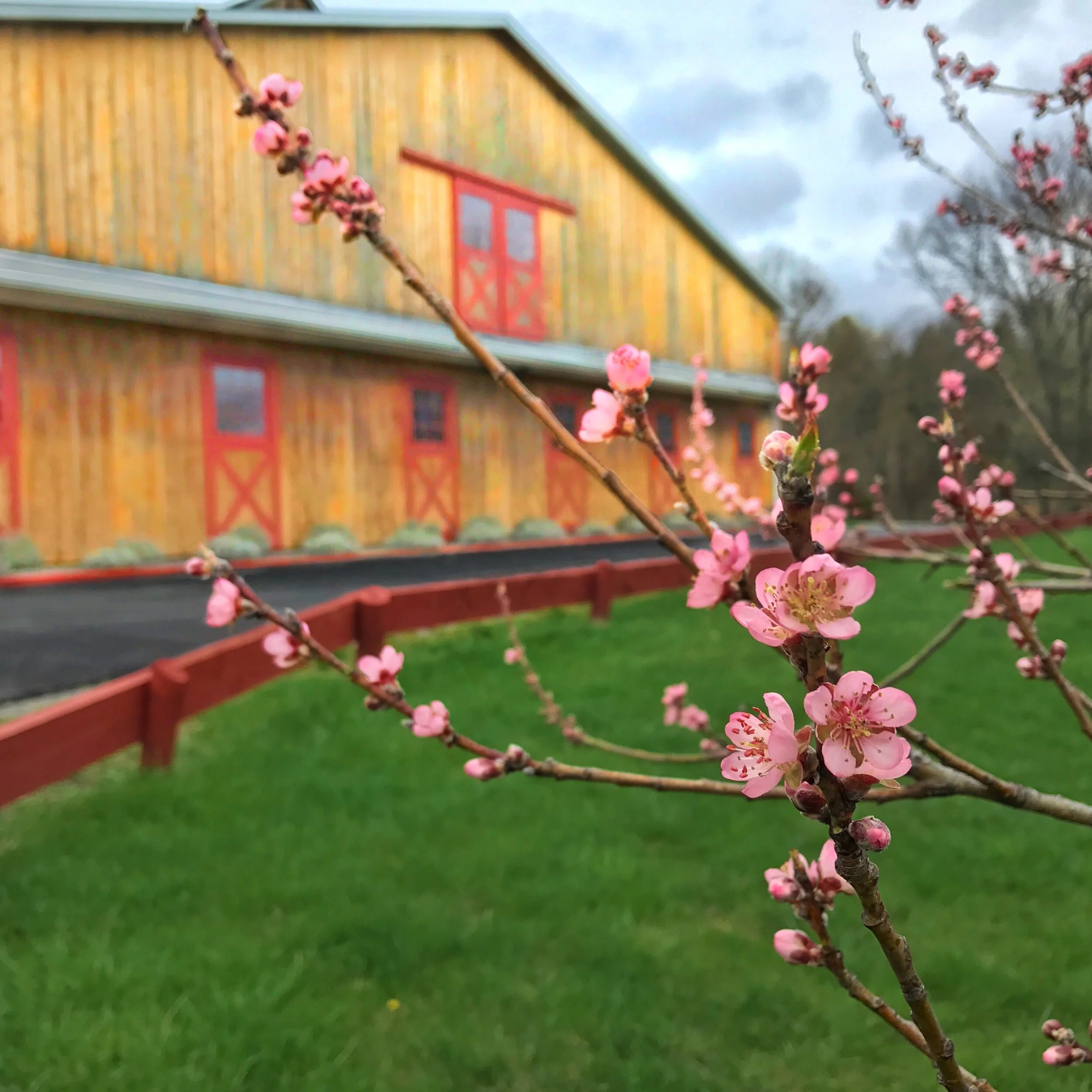 Six Dutchess Farm