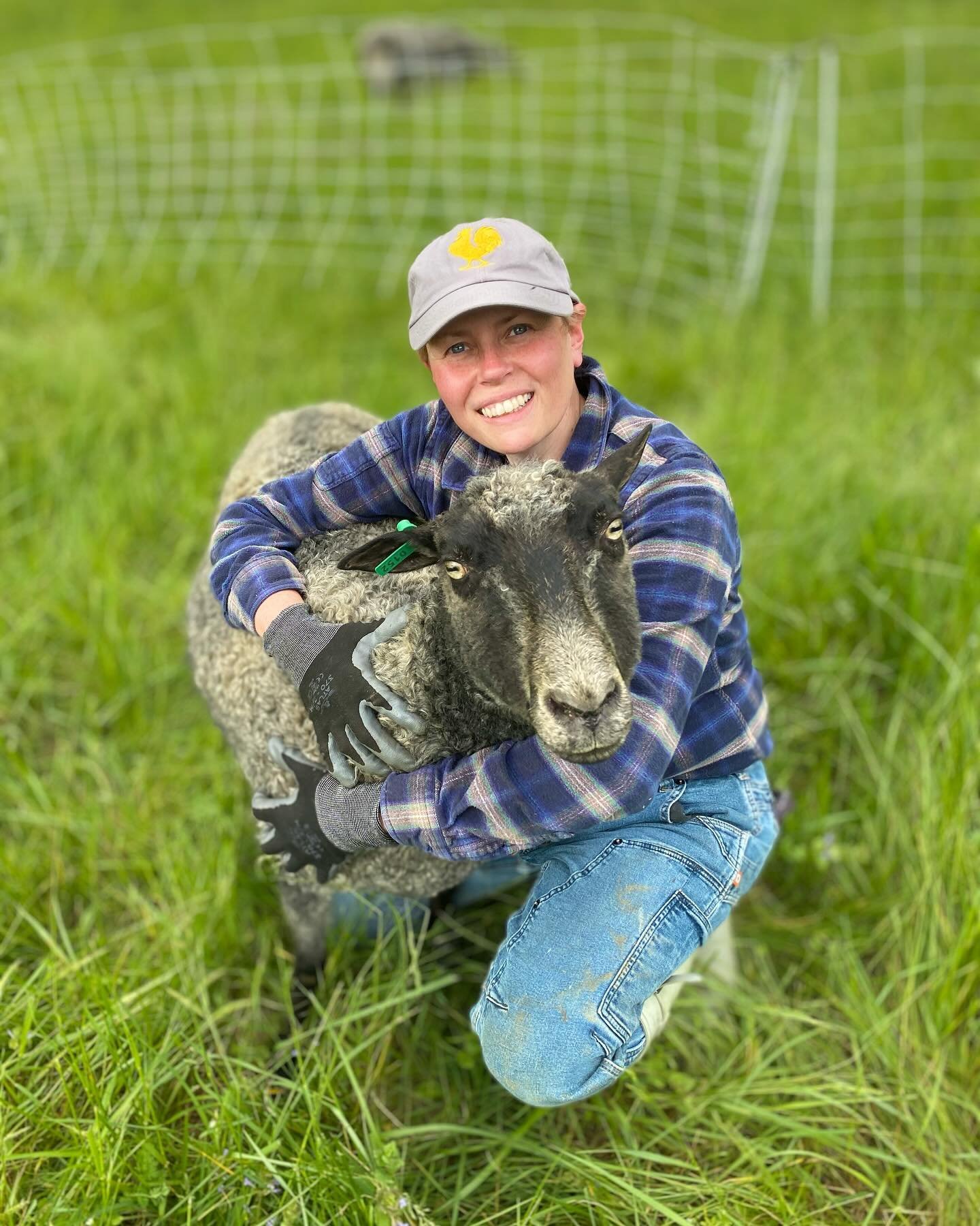 My # 1 lady and the greatest sheep friend ever, the Legendary Mattina! 🐑🩶 #sheepfriends #oneofakind #sheeplove #gotlandsheep #sixdutchessfarm #dutchesscountyny #hudsonvalleyliving #farmlife