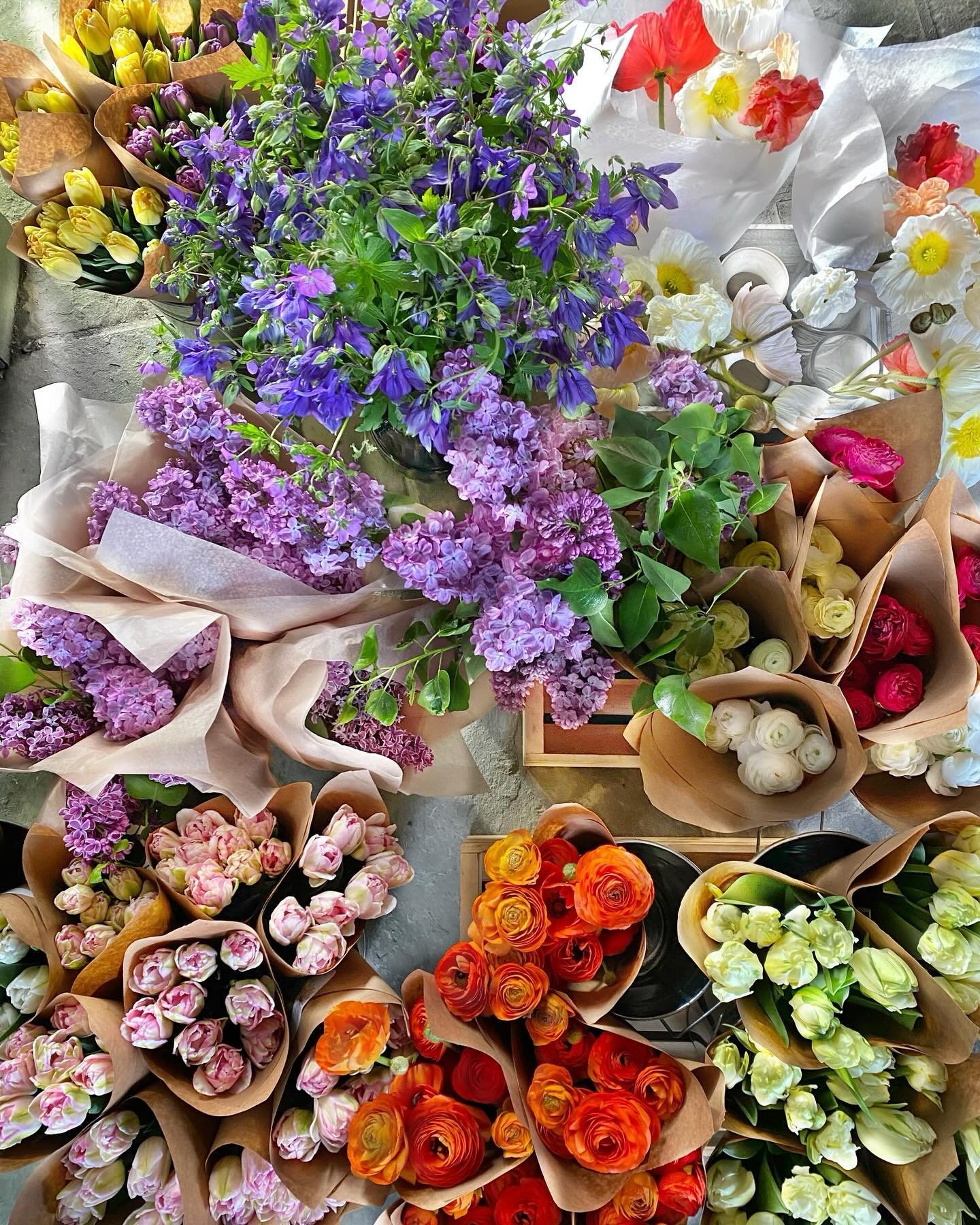 Good morning, Beacon!! Come hang with your local farmers and food producers today at @beaconfarmersmarket , and let&rsquo;s flower together! We&rsquo;ve got fancy tulips, fragrant lilacs, giant Hummingbird poppies, wild Columbine, anemone and very el