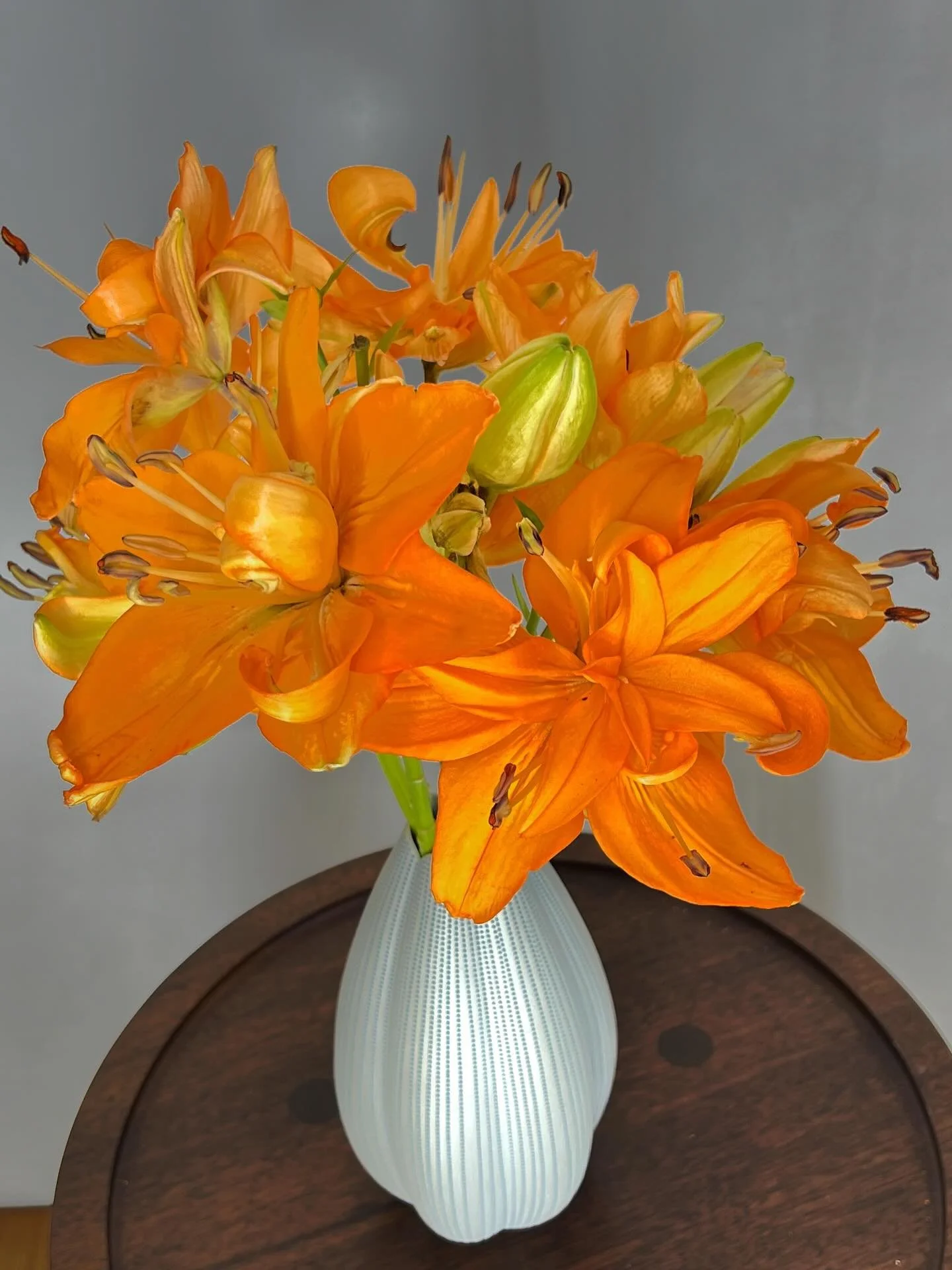 Hulk lilies are back&hellip;.one of our favorite new discoveries. These double lilies start out as a light peaches &amp; cream and transform into a dark pumpkin orange as they mature. A true super hero transformation + scentless and they hold their p