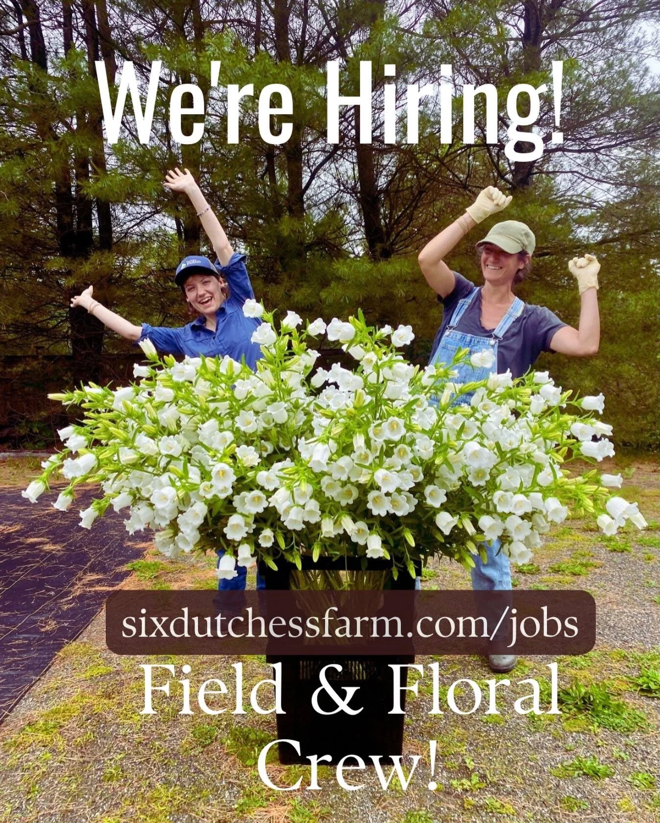 Hello, Friends! Our farm is growing in 2026, and we&rsquo;re hiring! We&rsquo;re looking to add 2 field &amp; floral crew members to our team in Dutchess County, NY. These are year-round positions, 1 part-time and 1 full-time, on our 4-seasons flower