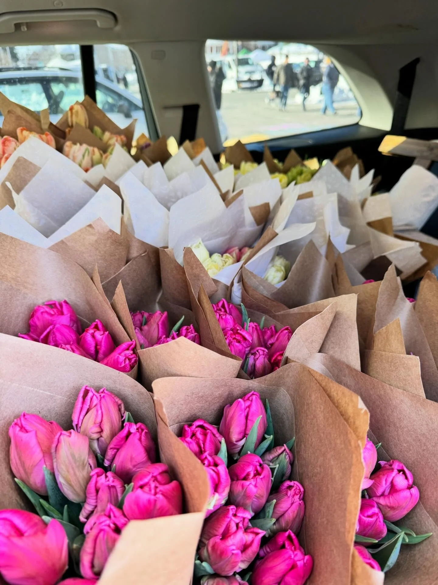 It may be cold, but the flowers are warm! Come get some today at @beaconfarmersmarket , 10am until 1pm! They&rsquo;ll
Brighten your day! 🌷☀️🌷

#sixdutchessfarm #beaconfarmersmarket #wintertulips #grownnotflown #hudsonvalleyflowers