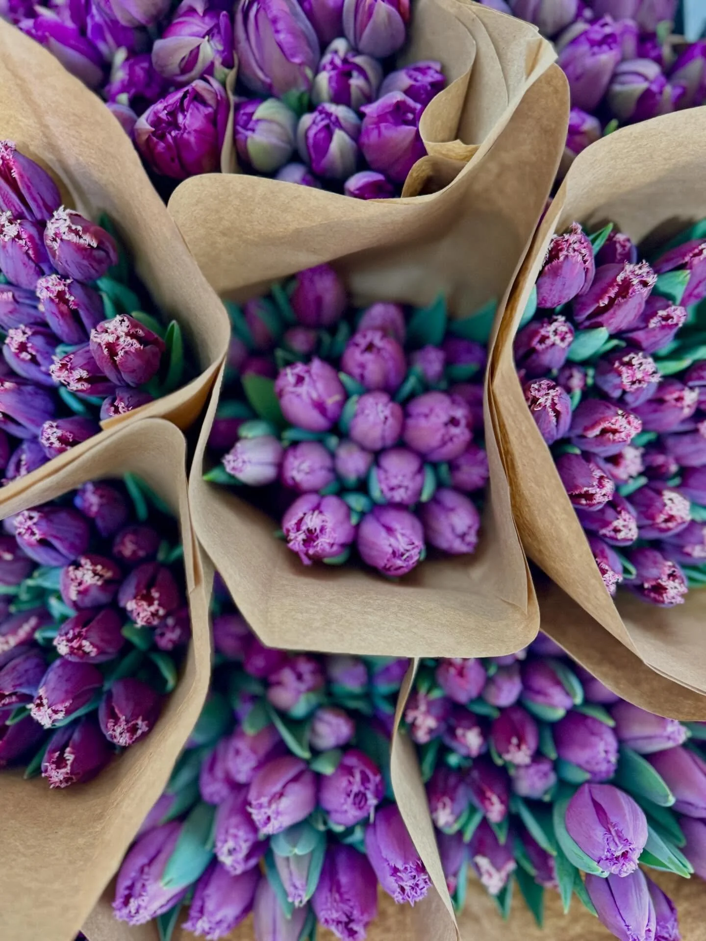It&rsquo;s all about the purples today! Come join us &ldquo;the day after&rdquo; for some extra flower love! We&rsquo;re bringing the funky fringes to @beaconfarmersmarket today with some special beloved winter blooms + raw honey. Limited supply toda