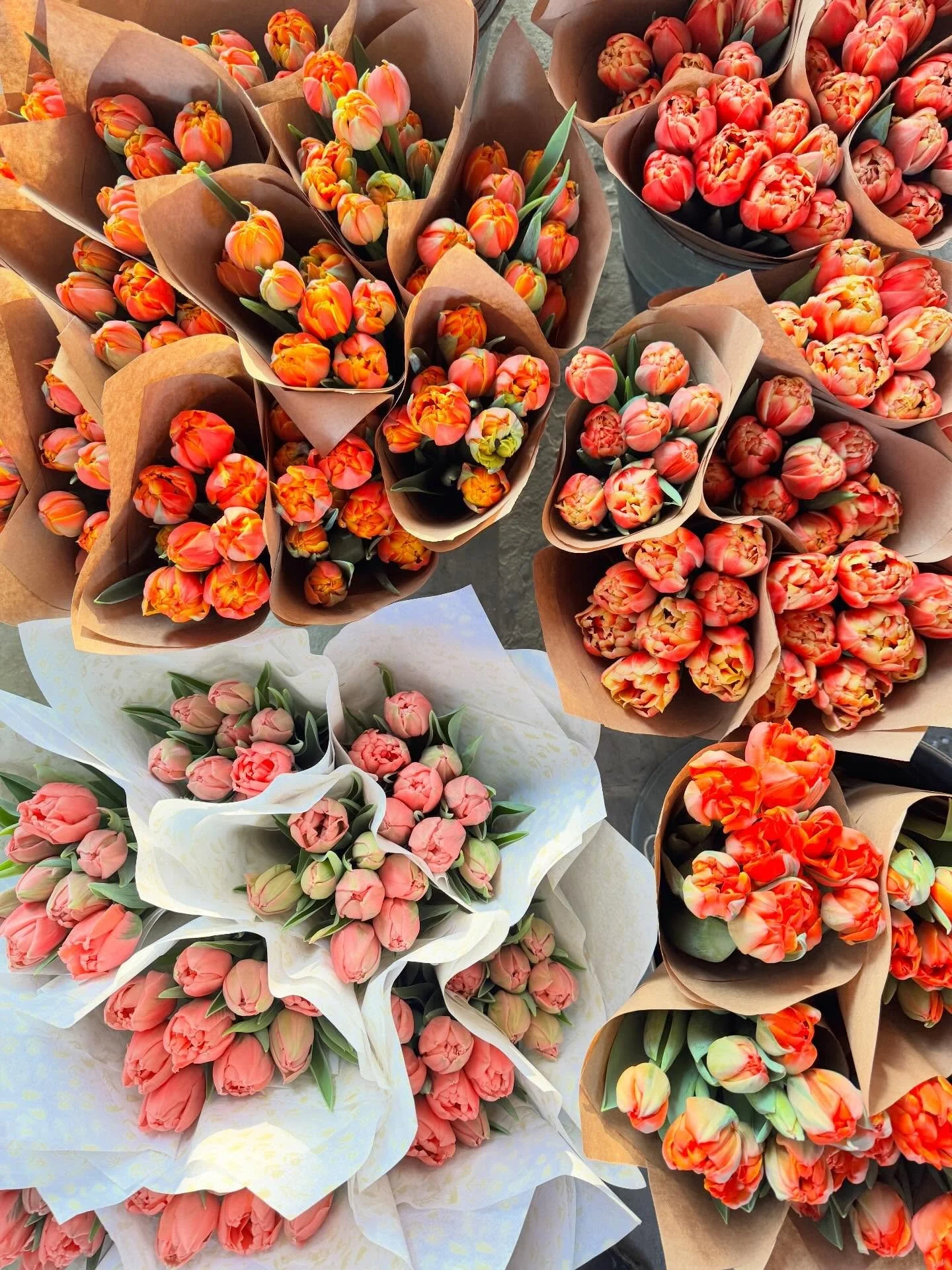 All the orange, earthy feels today&hellip;and some pink, too (of course!). Come flower with us at @pvillefm, 9:30 to 12 noon, Saturday. It&rsquo;s going to be a beautiful day ☀️☀️ and we&rsquo;ve got fresh flowers for you! #wintertulips #pleasantvill