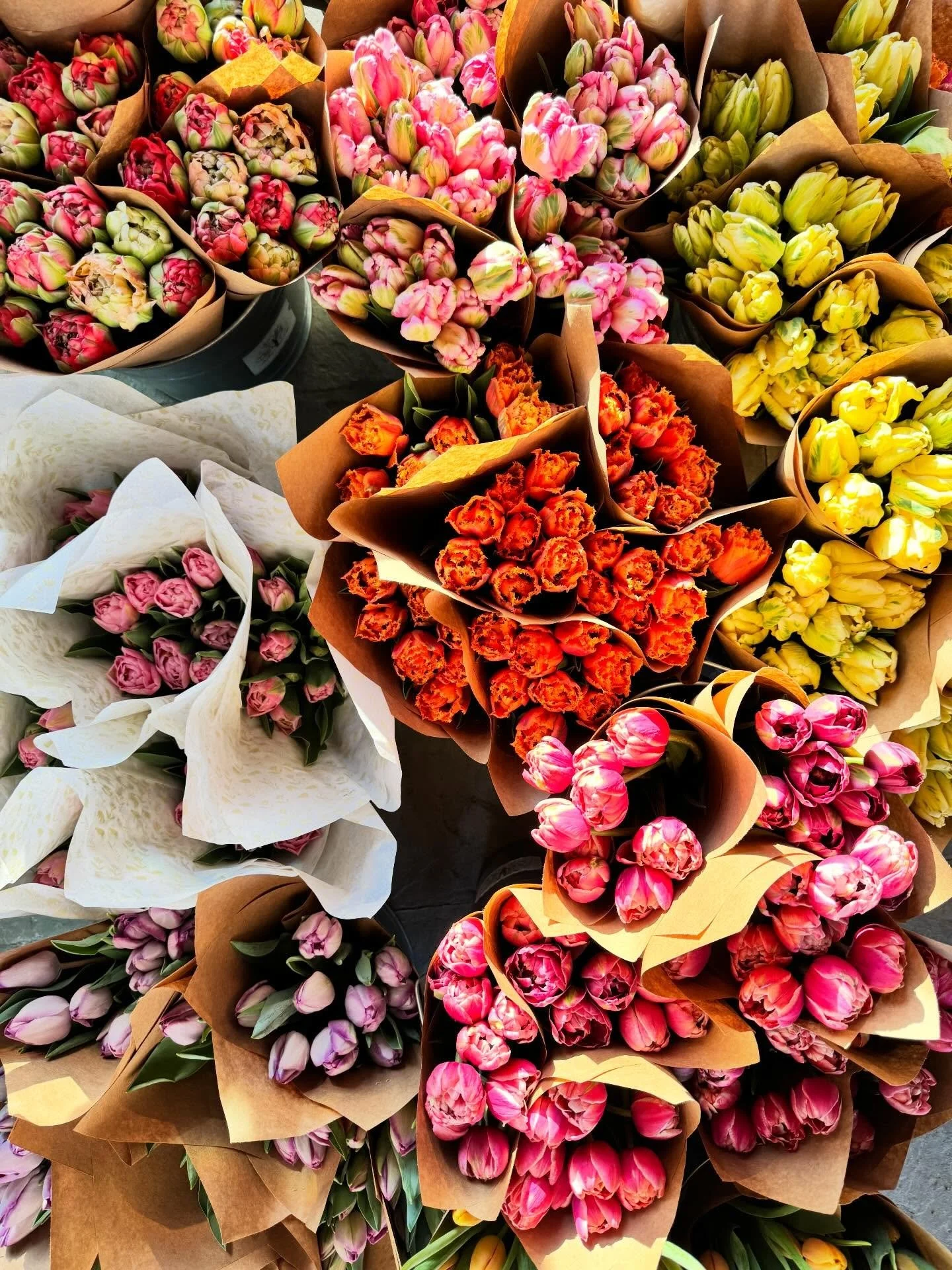 A Beautiful load of tulips + scented double daffodils heading to @coldspringfarmersmarket! Lots of gorgeous parrot tulips and the beloved pink Dreamers are back! Field flowers are officially here in abundance. Come visit, friends, and color your week