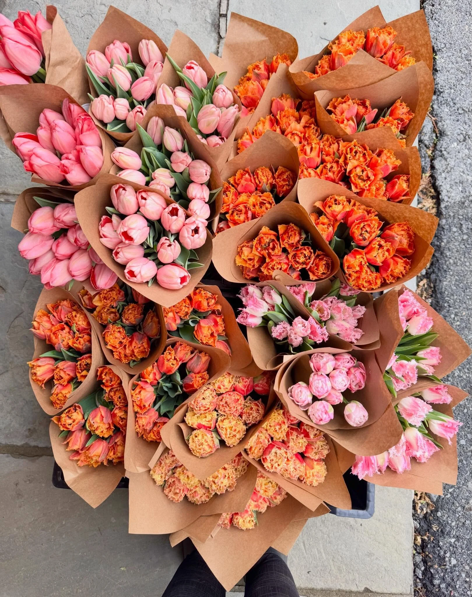 Hello Beacon! We had so many flowers this morning, we couldn&rsquo;t fit them all in our vehicle! So round 2 is arriving at @beaconfarmersmarket at noontime and they are so so so special! We know you love the funky fringes, so we have not one, not tw
