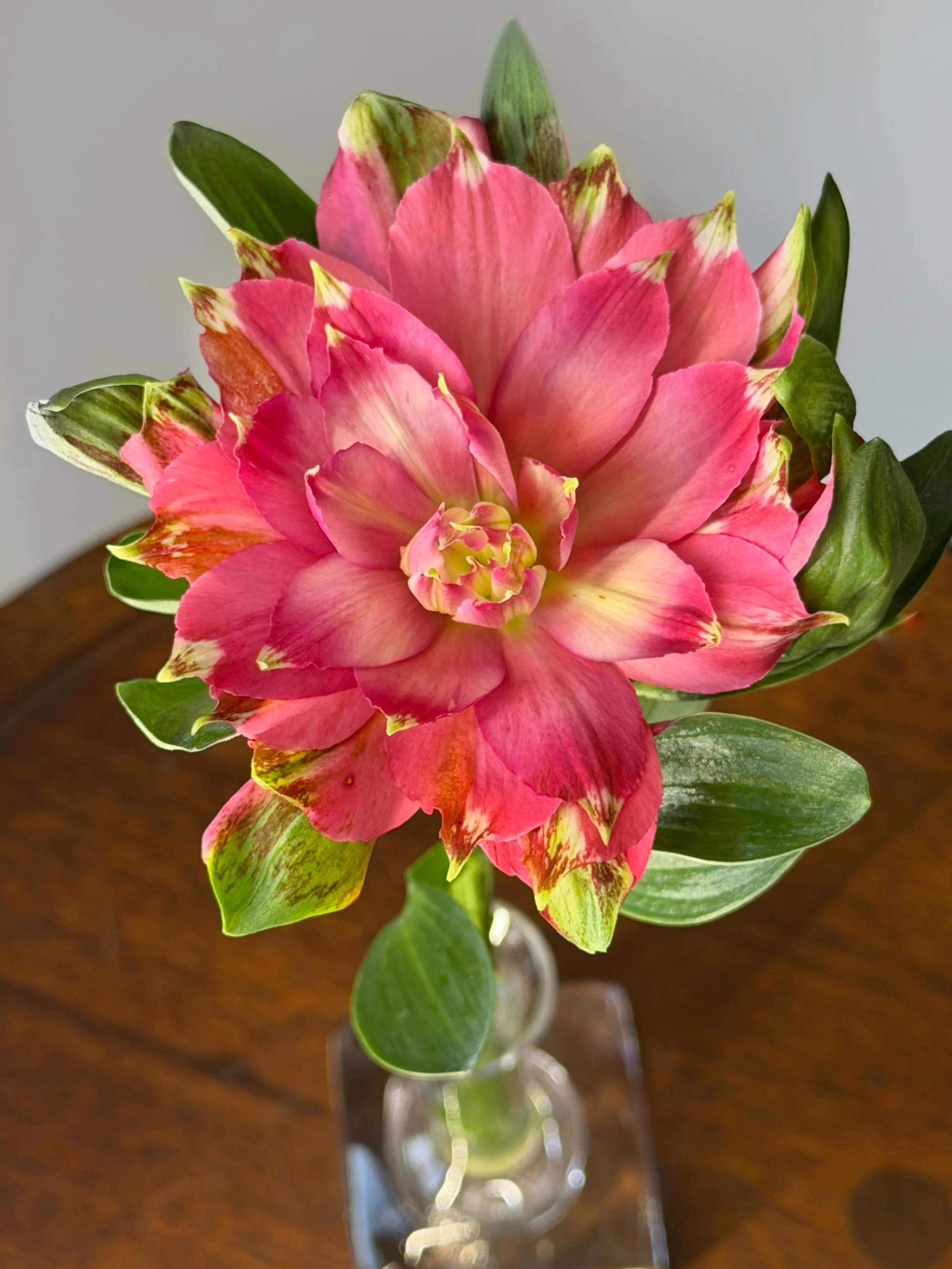 ☔️ Weekend Market Update ☔️

Hello, Friends! Due to the incoming Nor&rsquo;Easter, we won&rsquo;t be at @coldspringfarmersmarket today or @pawlingfarmersmarket. 

We are planning to be at @beaconfarmersmarket tomorrow (Sunday) with a load of flowers&