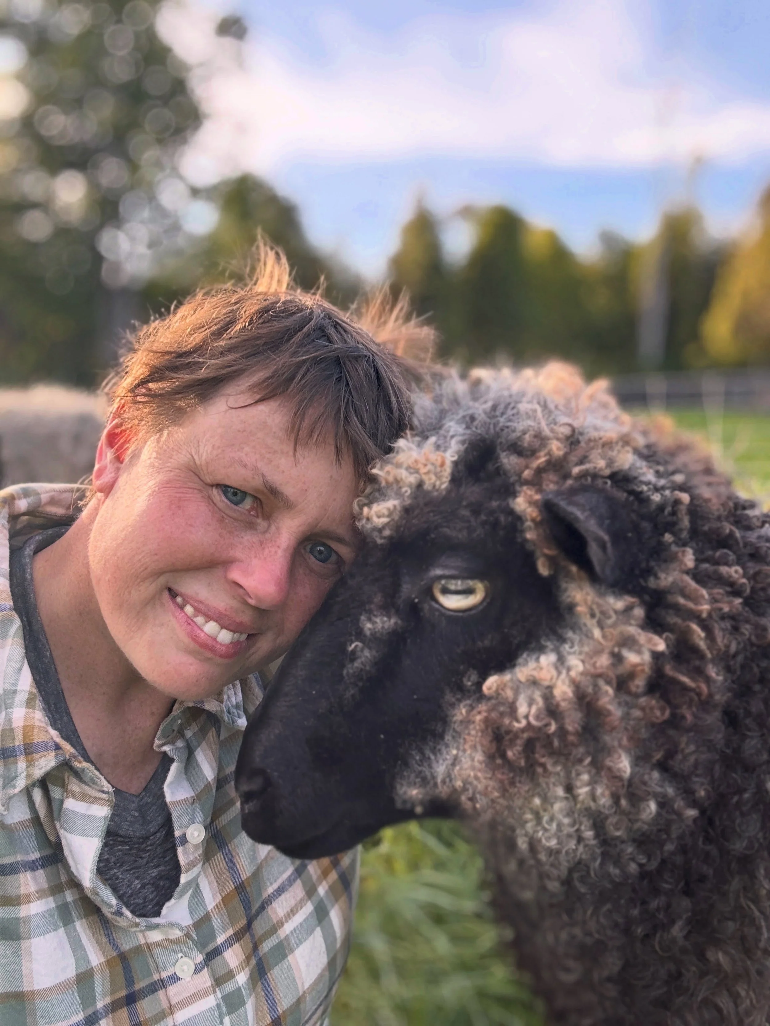 Just a girl and her beloved Gotland sheep Mattina 🩶 our Fall shearing is happening in 2 weeks time and new fleeces are off to @battenkillfibers straight after! This is Mattina&rsquo;s 8th year on the farm and the seventh round of her namesake &ldquo