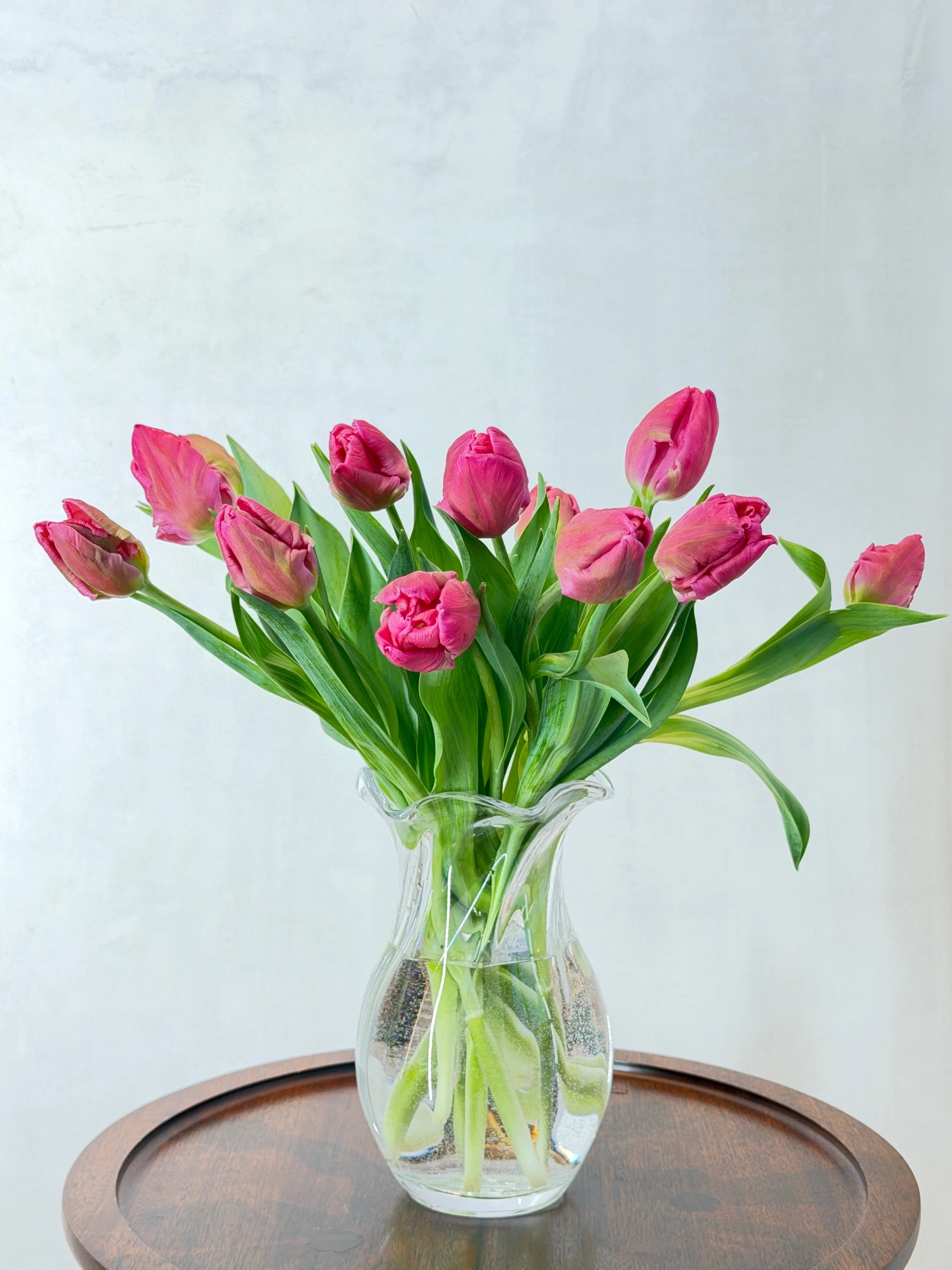 Farmers Market Winter Tulip Bouquet, Pre-Order for Pick-Up 2/7-8/26