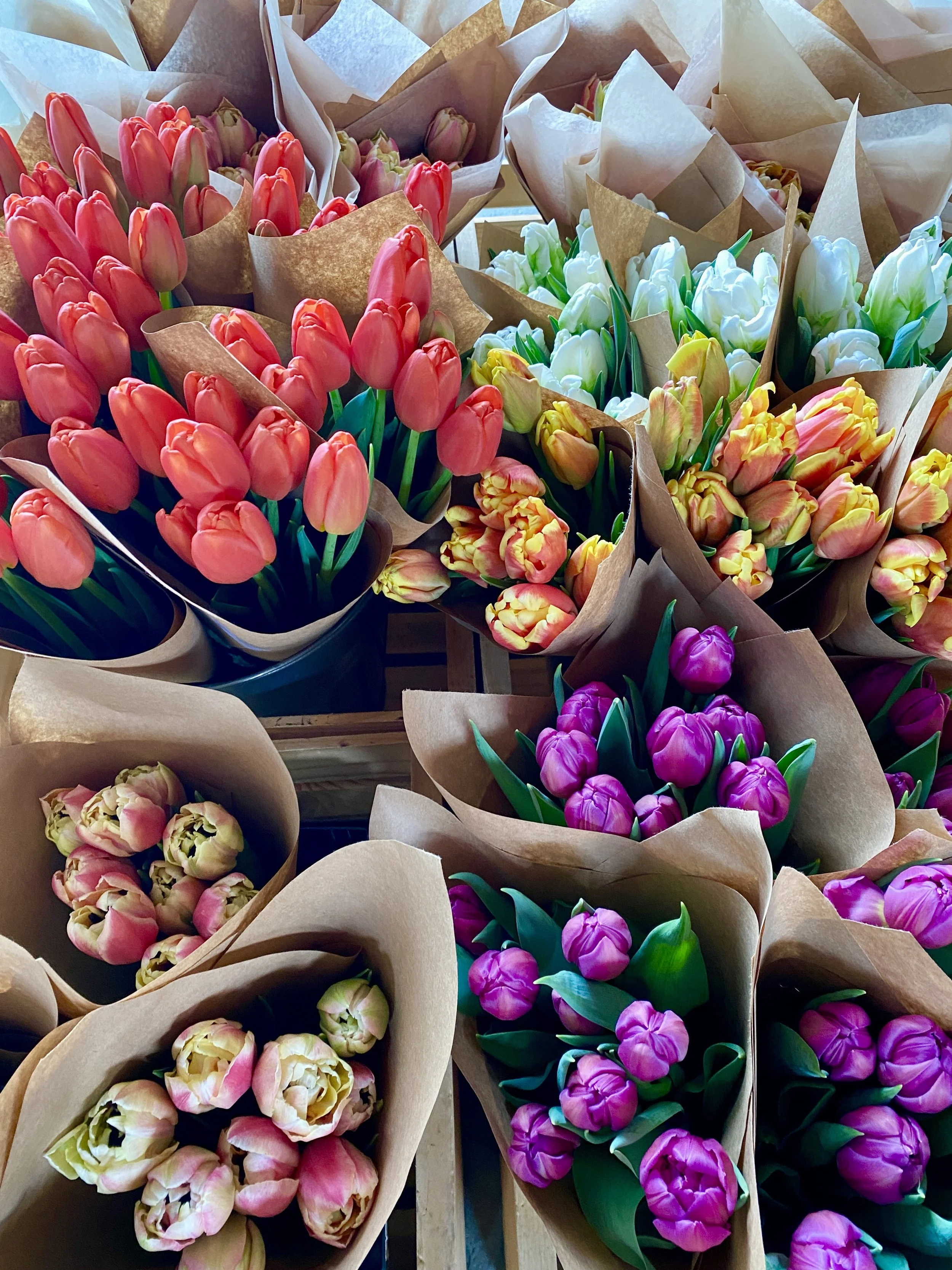 DIY Bucket of Blooms