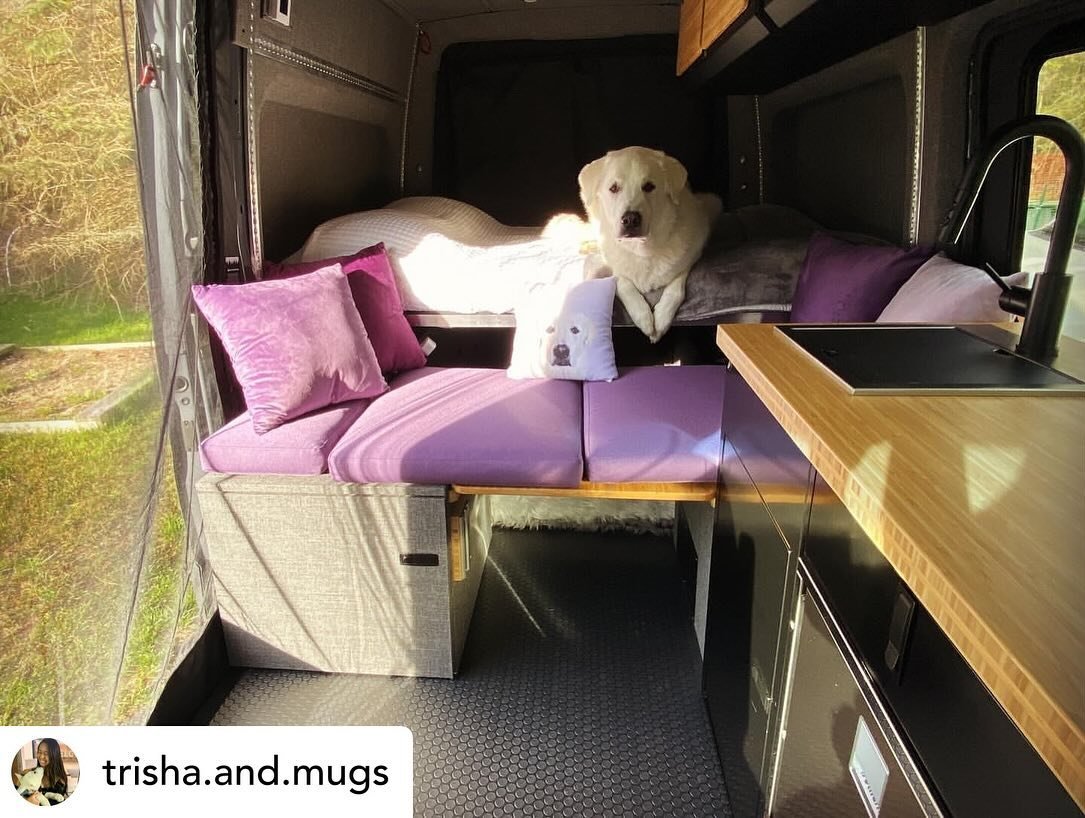 Repost from @trisha.and.mugs from the &lsquo;Mugs Mobile&rsquo; 🚐
&ldquo;And to think that I used to be worried that Mugs 🐶 wouldn&rsquo;t have enough space in the van 😬 Clearly he has no shortage of seating thanks to @nirvanaupfitters &ldquo;.
We