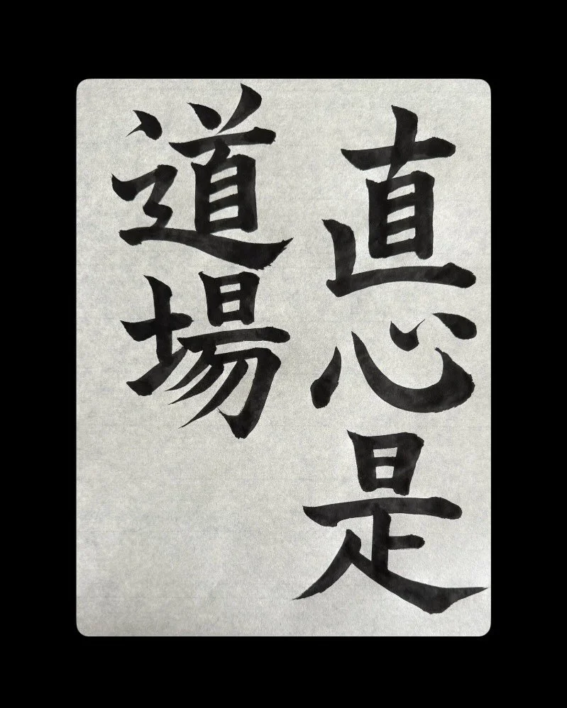 直心是道場　(Jiki shin kore dōjō)
No matter where you are, a sincere mind is the place of the practice.

#紀の川 #書き初め #座右の銘