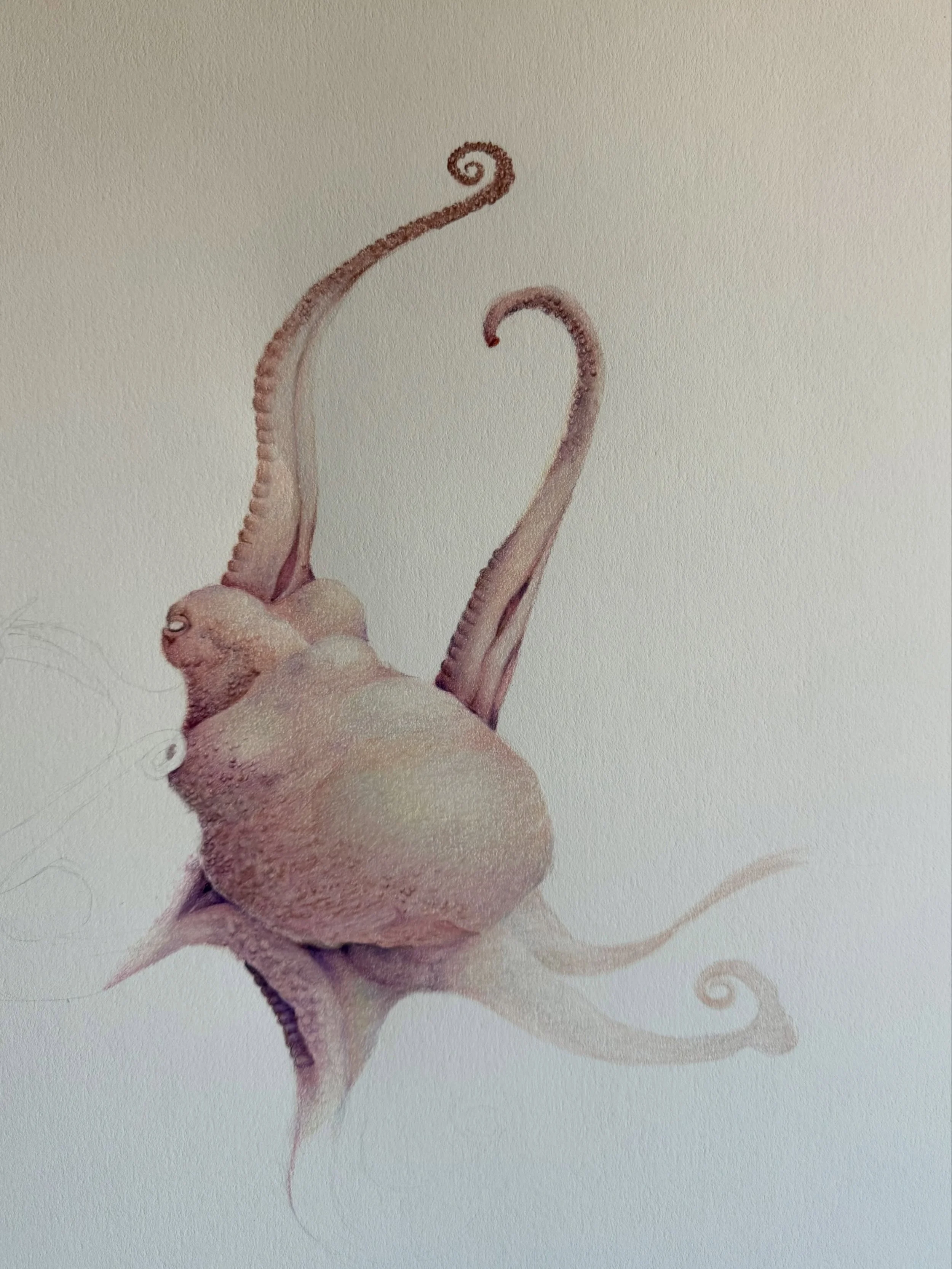 Whenever I draw an octopus, I feel peaceful and excited 

#drawing 
#yxearts
