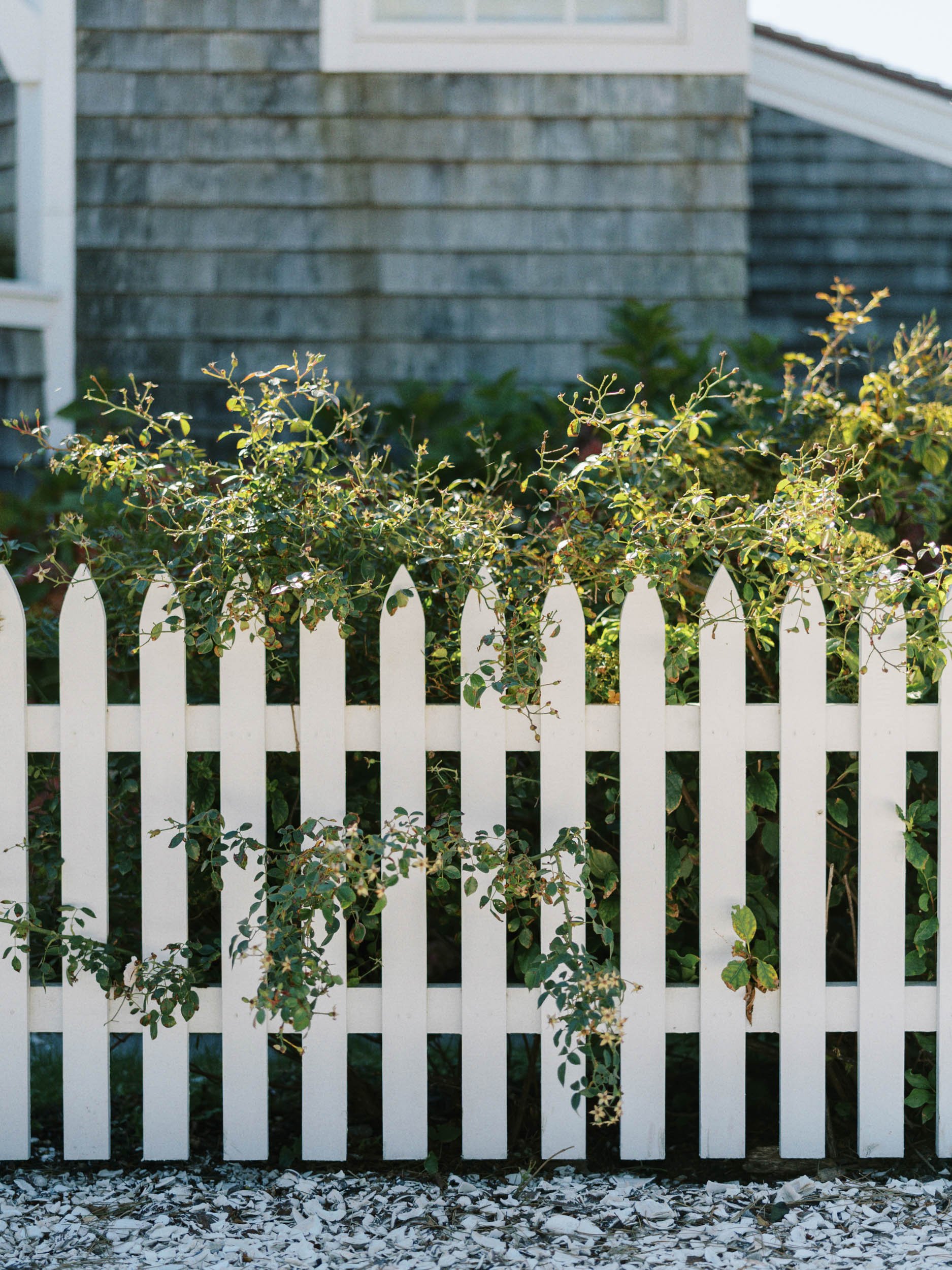 castle-hill-inn-wedding-newport-ri-_022426_00034.jpg