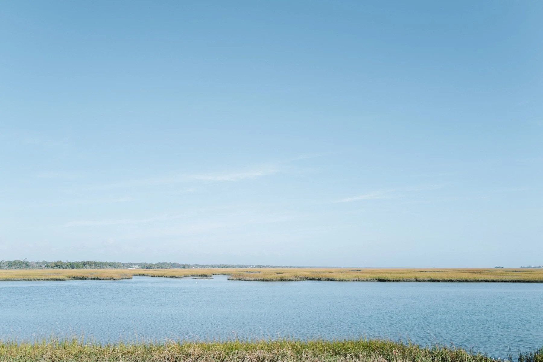 A flat landscape with a body of water in the foreground, tall grasses along the edges, and a clear blue sky with wispy clouds above.