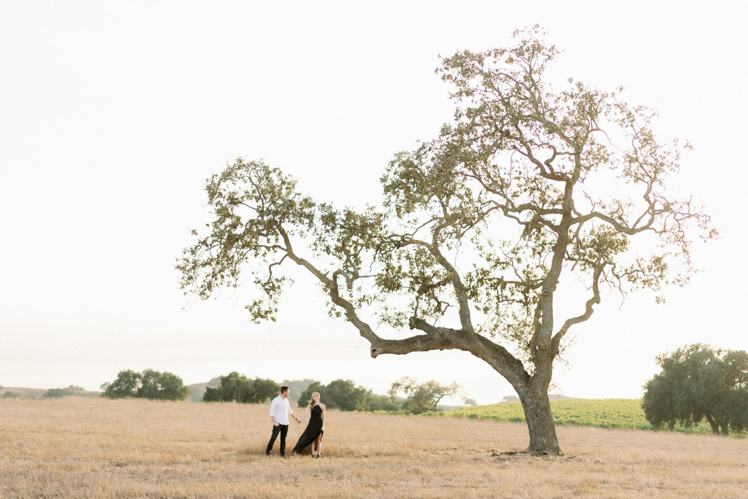 los-olivos-engagement-session-winery-07.jpg