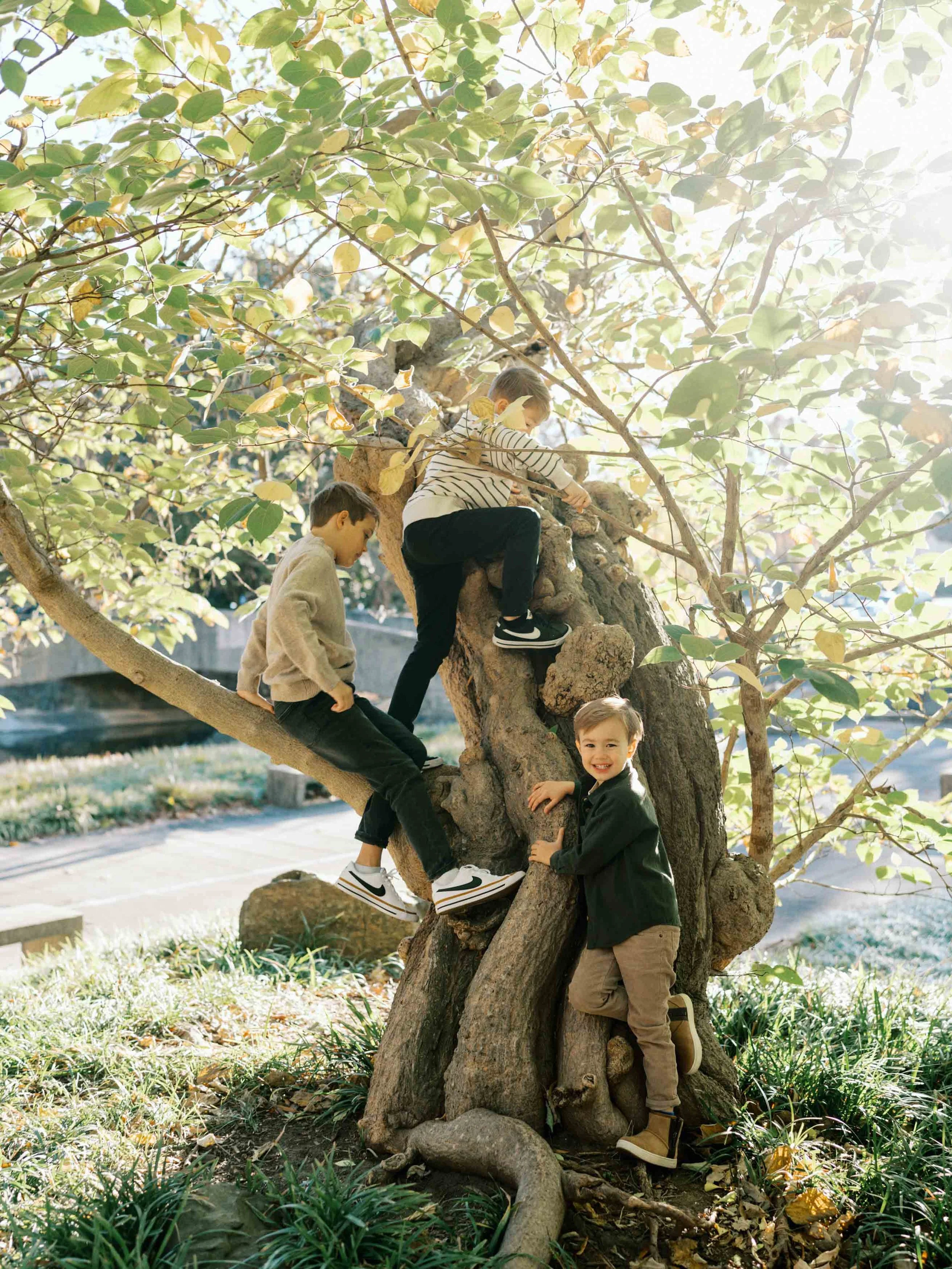 uptown-charlotte-family-photography-bennett-004.jpg