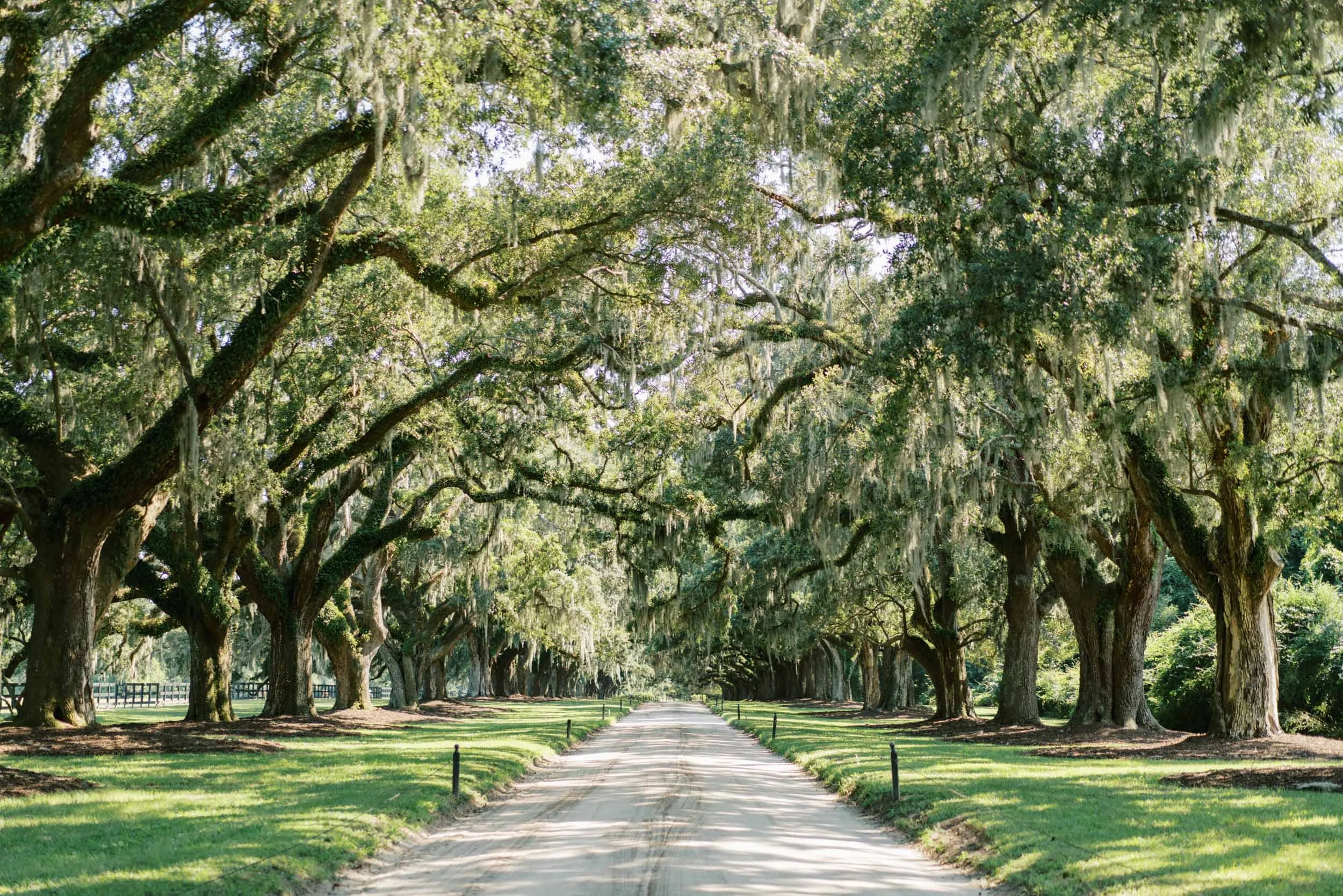 boone-hall-charleston-summer-wedding-photos_022326_00025.jpg