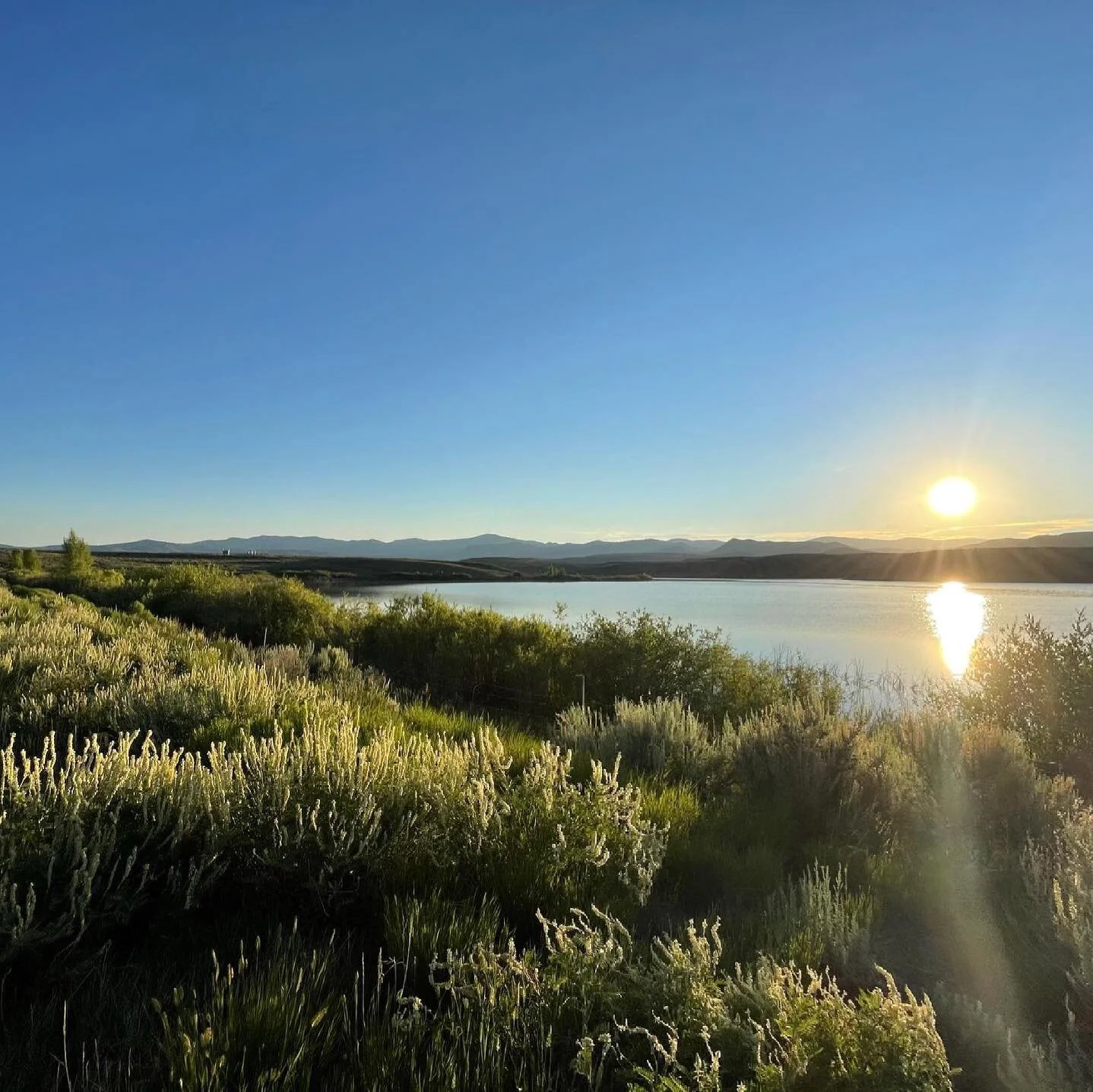 Colorado, just when I think it can&rsquo;t get better&hellip;it does. Grateful for the beauty this state continues to offer and the next level of independence I get to experience. Happy 4th. ❤️🙏🏻 #coloradoliving #nofilter #steamboatsprings #viewsfo