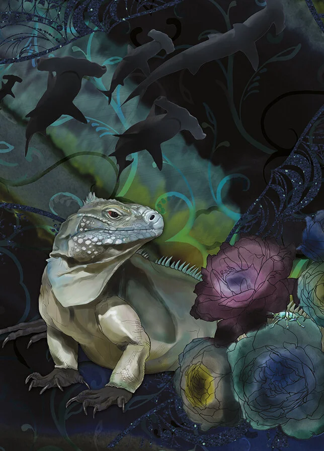 dark cayman 2 rgb copy.jpg