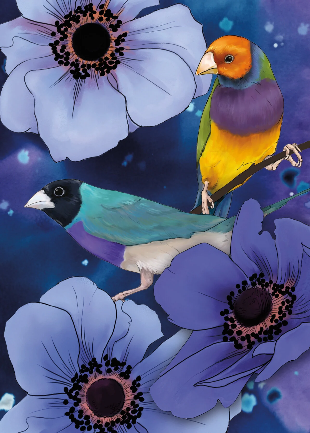 celestial finches rgb copy.jpg
