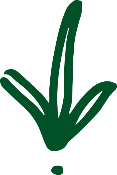 alc green plant 3.png