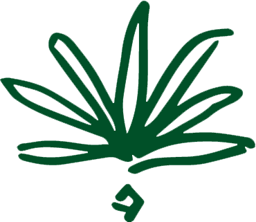 alc green plant 2.png