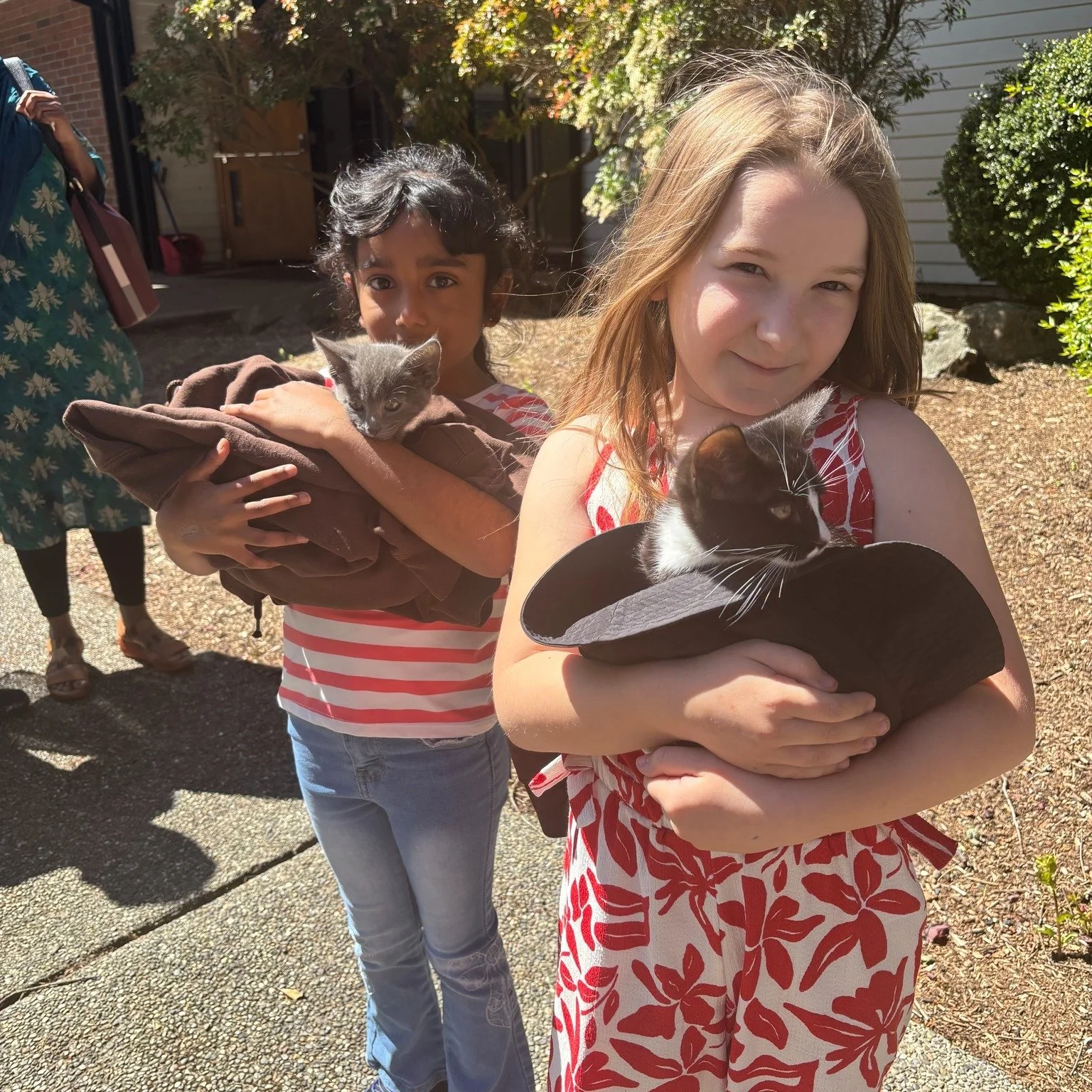 Kittens + Kids Group = instant joy 🐾

Huge thanks to Sophie for bringing her kittens this Sunday.

It was a hit.

More than fun, it was a simple reminder of God&rsquo;s creativity and care in the world around us.

Small things help us see  big truth