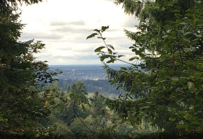 Come join us today at the Licorice Fern Trail ☀️🥾

☕ Coffee &amp; bagels at 10am
🥾 Hike starts around 11am
👨&zwj;👩&zwj;👧 Kid-friendly + easier hike
📏 3.8 miles round trip

More trail info here: https://www.wta.org/go-hiking/hikes/licorice-fern#