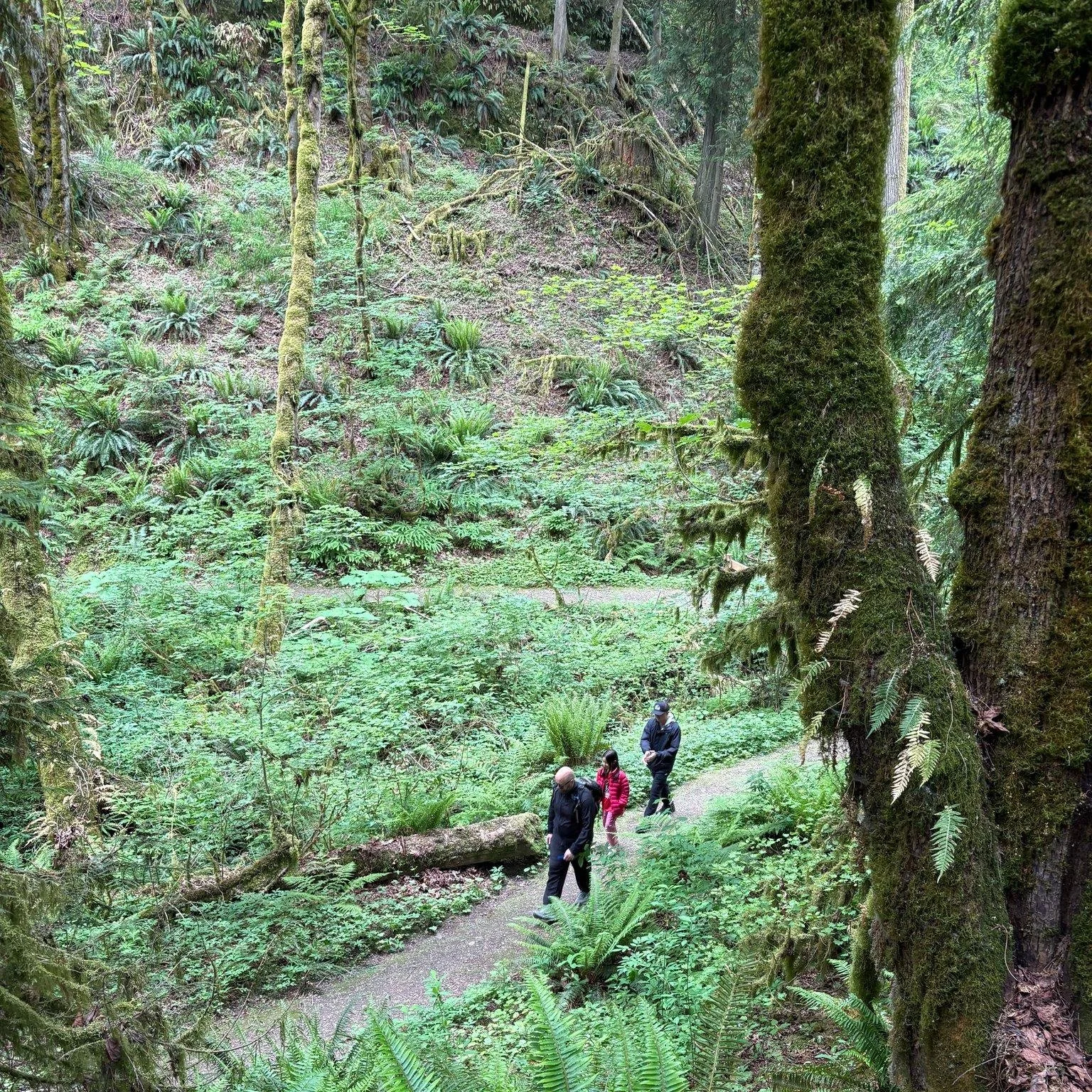 At a recent hike with Anthem Church, Pastor Phil opened by reflecting on Psalm 19 and the powerful reminder how creation speaks to the glory of God.

Surrounded by mountains, forests, trails, and the beauty of the Pacific Northwest, we were reminded 