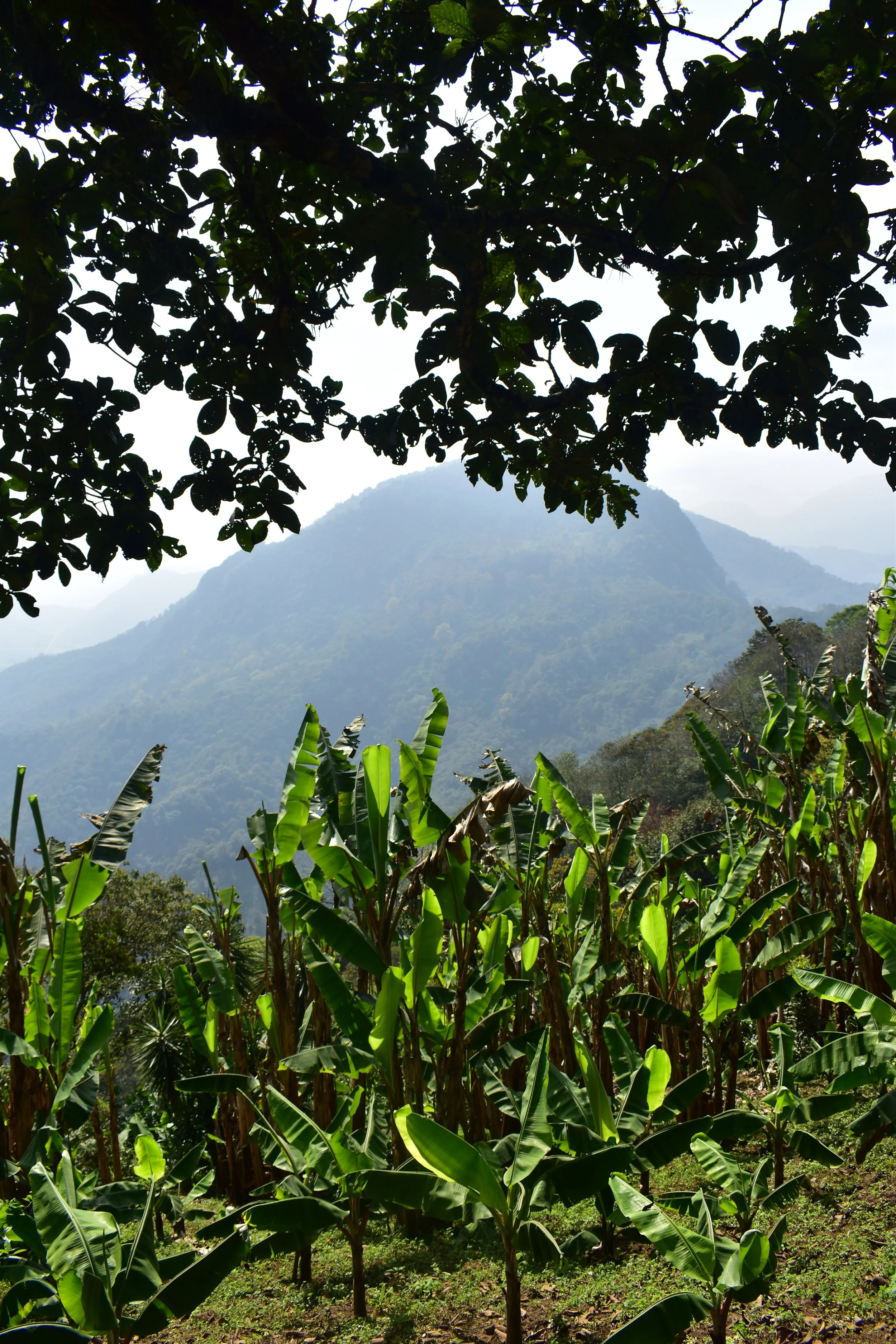 DSC_0782.JPG