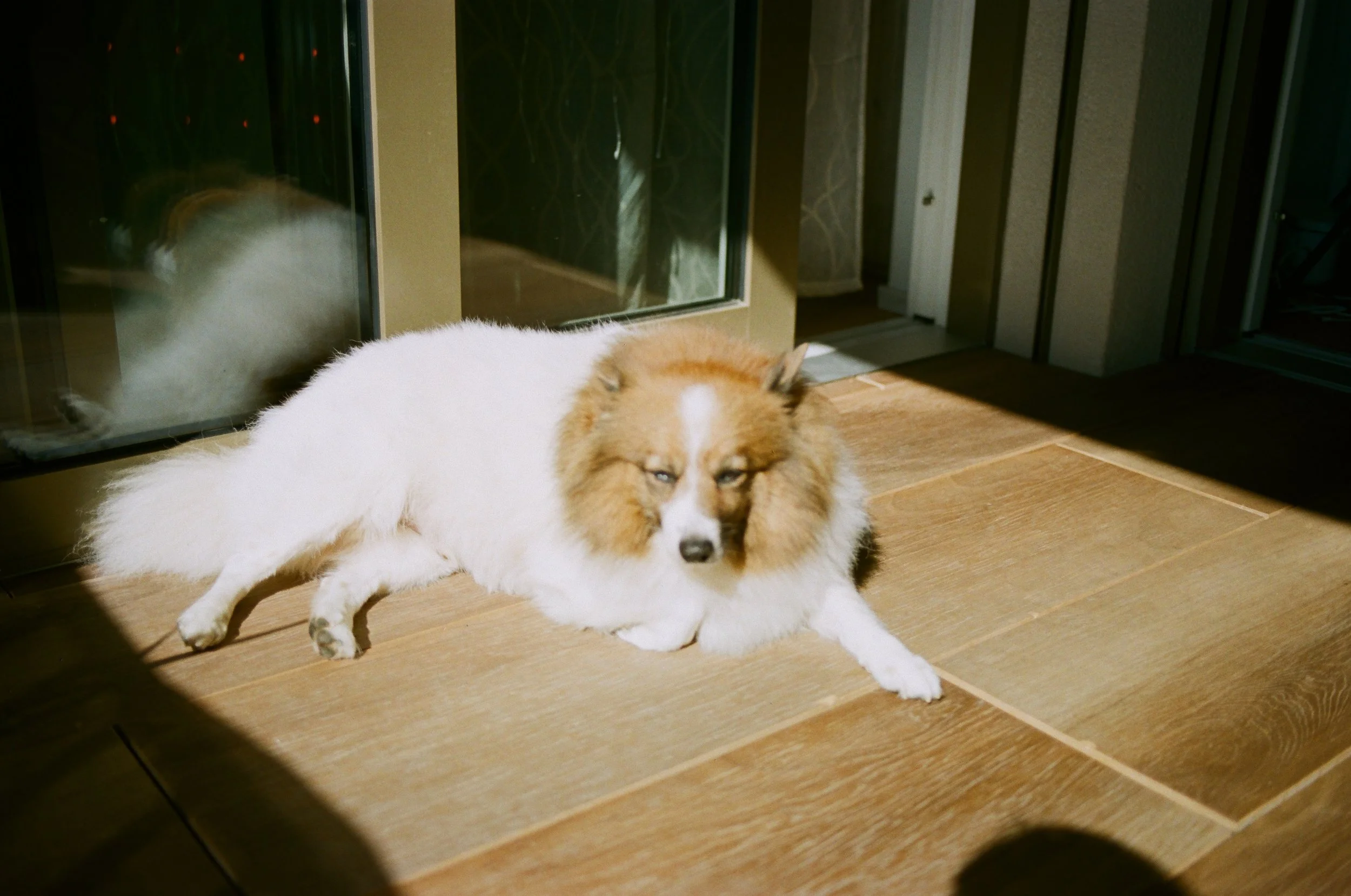 0003_3.JPG
