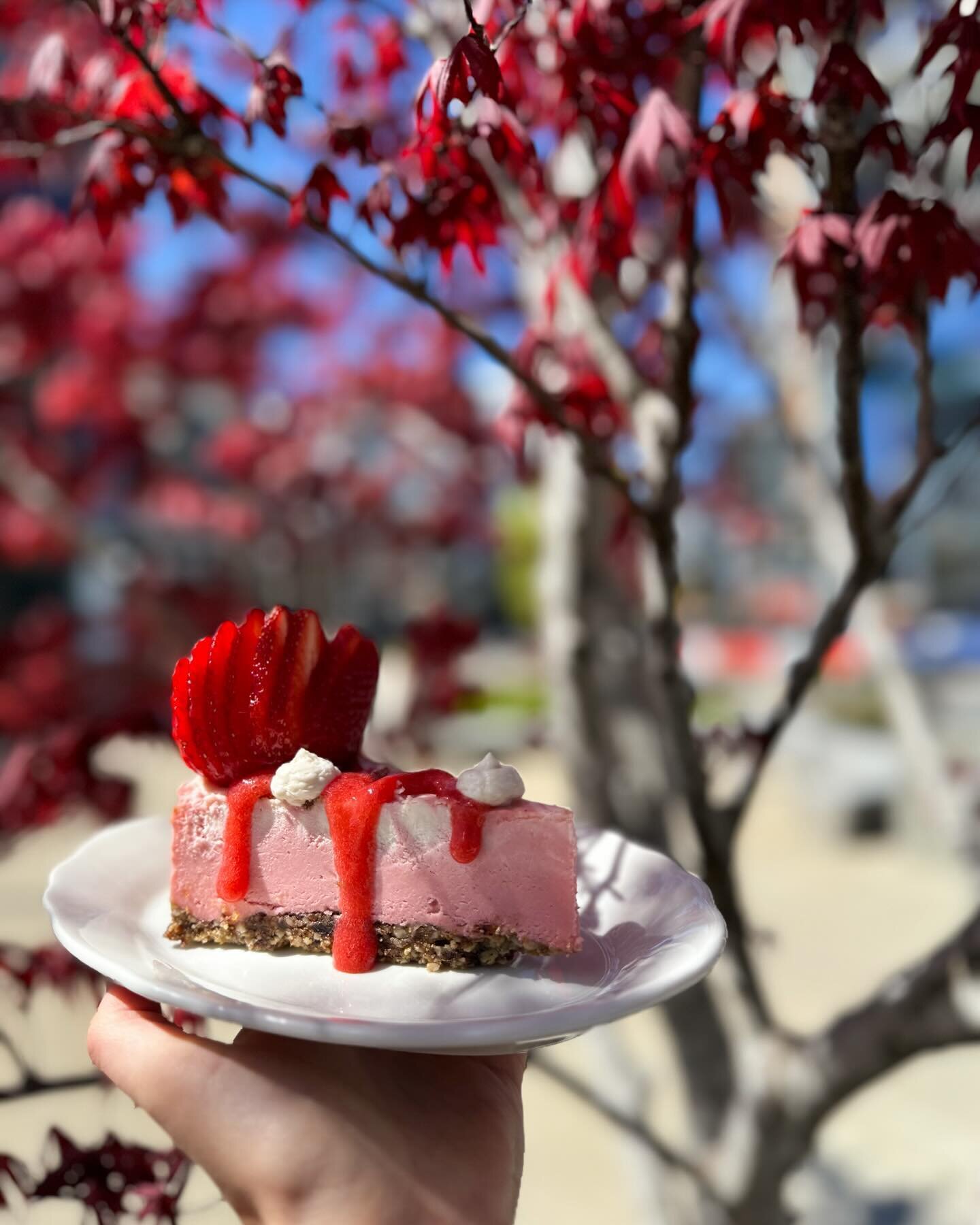 NOW SERVING: 🍓Strawberries and cream chzcake with strawberry glaze, vanilla lemon cream cheese 🍰 

Available for dine-in, takeout, delivery @ubereats starting at 11am 😉 
.
.
.
#plantbased #vegan #restaurant #nashville #nashvillerestaurant #dessert