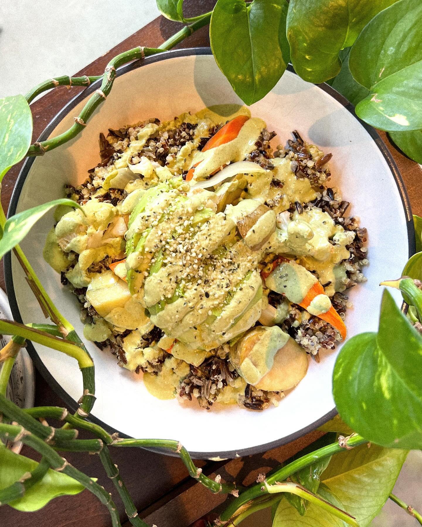 Now available for LUNCH (Tues-Fri)

Wild Rice &amp; Quinoa Bowl 
Roasted &amp; chilled cauliflower, fingerling potato, onion. Topped with avocado, hemp hearts, and lime dill cream 🌿 

We open at 11am! 

#plantbased