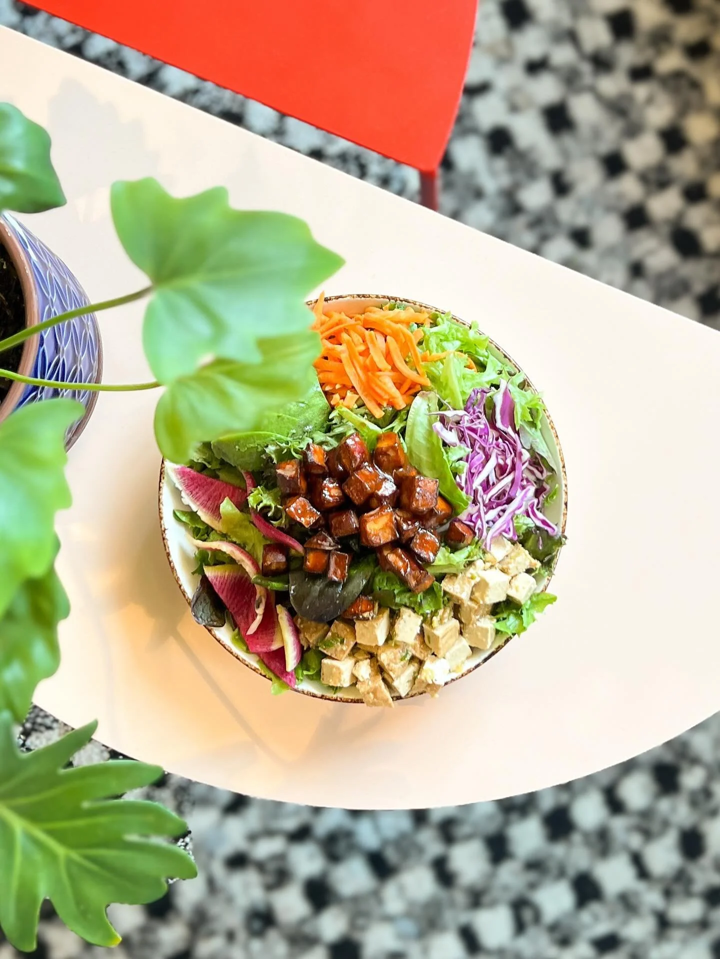 🥗 WILD NASHVILLE SALAD for lunch anyone? 

A crisp mix of @greener_roots hydroponic greens, carrots, radish, cucumbers, avocado &amp; cabbage tossed in a zesty lemon ginger vinaigrette. Make it even better with our ginger scallion tofu!

🚨 Did you 