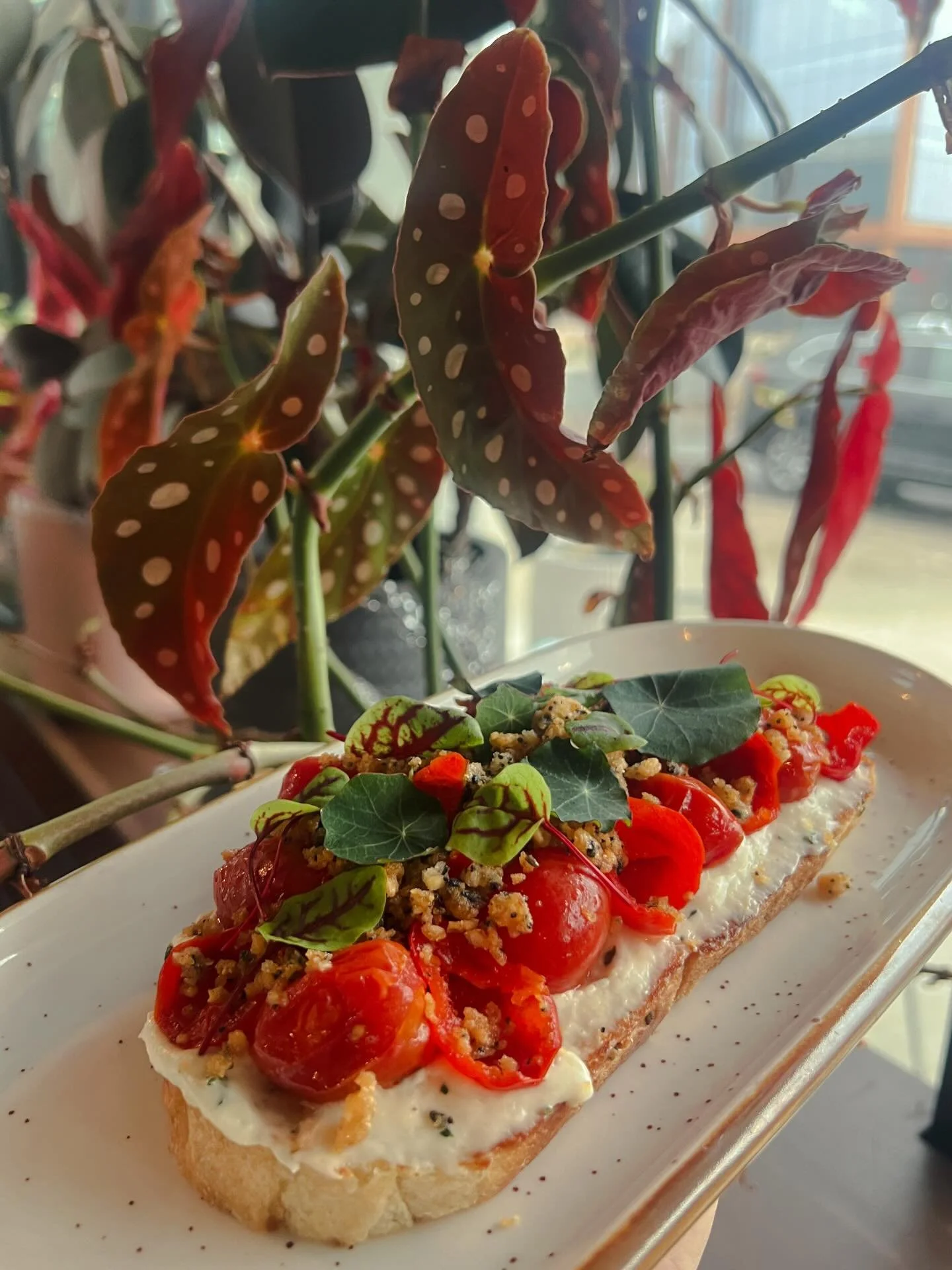 Tomato toast, but make it art 🍅🌿 

Herb cream, slow-confit tomatoes, sweet peppadews, and everything tempura for that perfect crunch. Sitting pretty in front of our favorite plant because we love when our plants match our plates ❤️

Fresh. Crisp. A