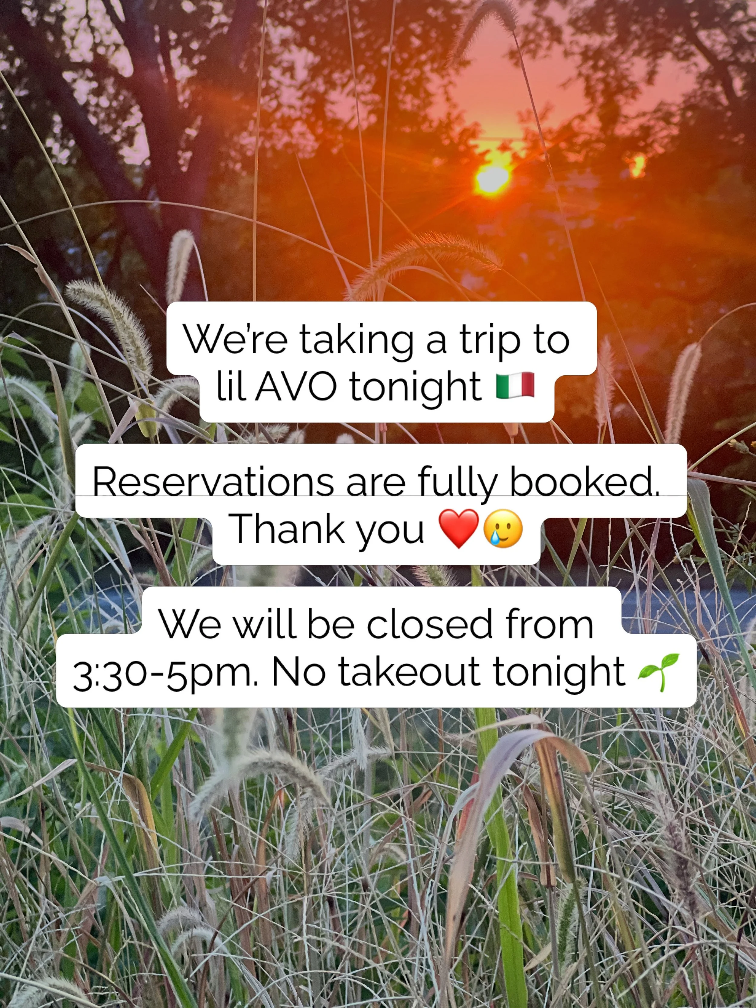 OPEN for lunch for regular service 11am-3pm. See you at lil AVO tonight 🇮🇹 🍷🤌🏼