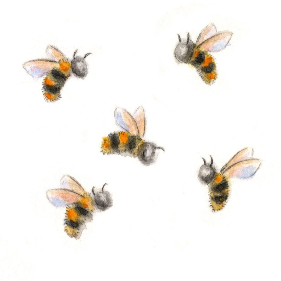 HeidiAubrey_Spring-Bees_2.jpeg