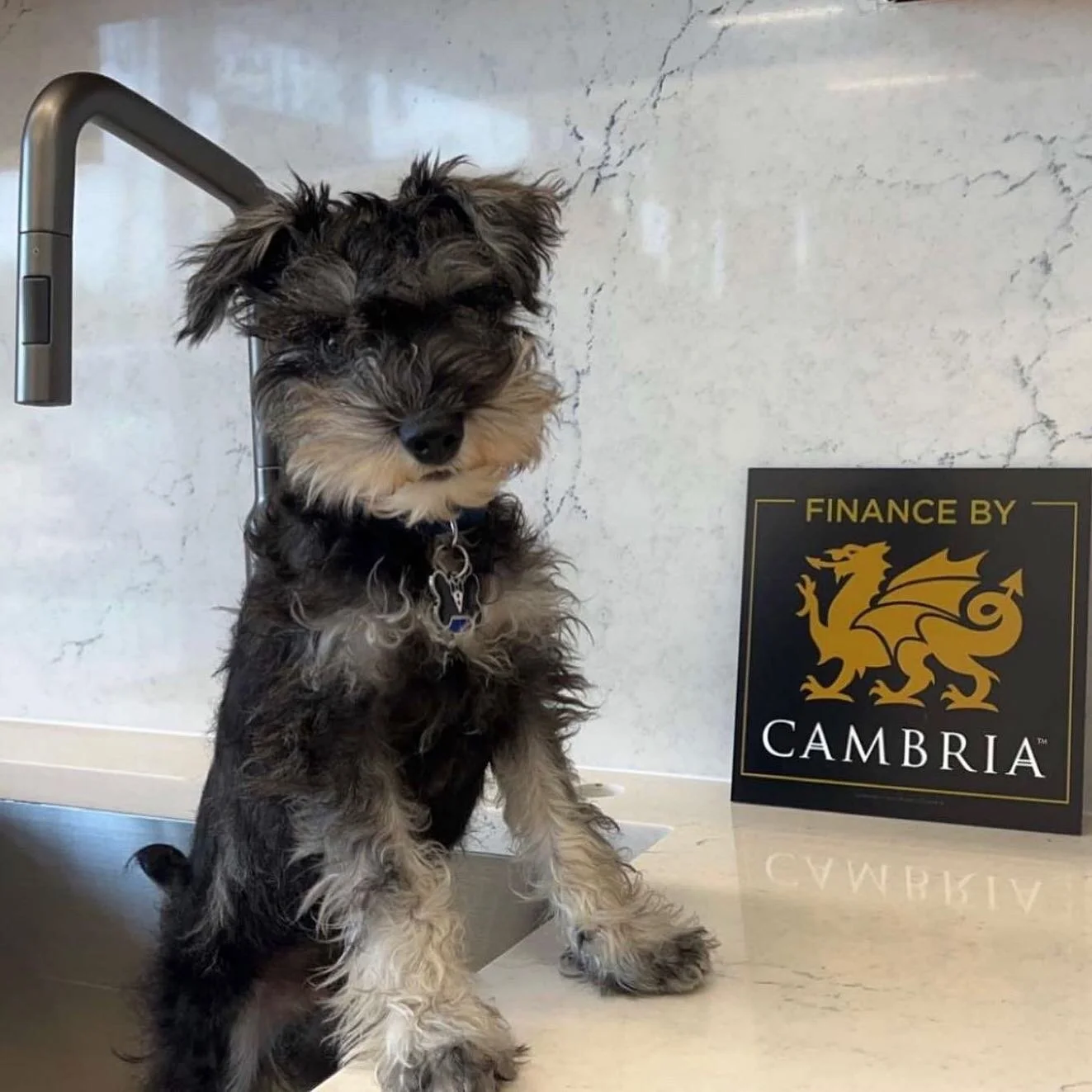 Did you know that we offer Finance by Cambria through Enerbank? We can help you apply for a financing offer when you choose @cambriasurfaces for your project! DM us today to learn more about this special program! 

Pictured: Sutherland from @cambrias