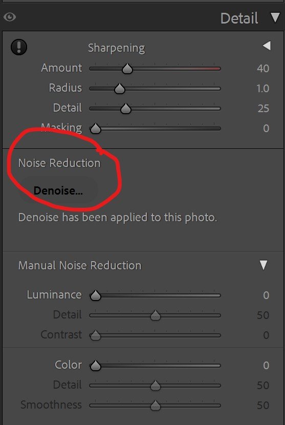 Using Lightroom’s New Denoise AI to Resurrect Old Noisy Images — Red