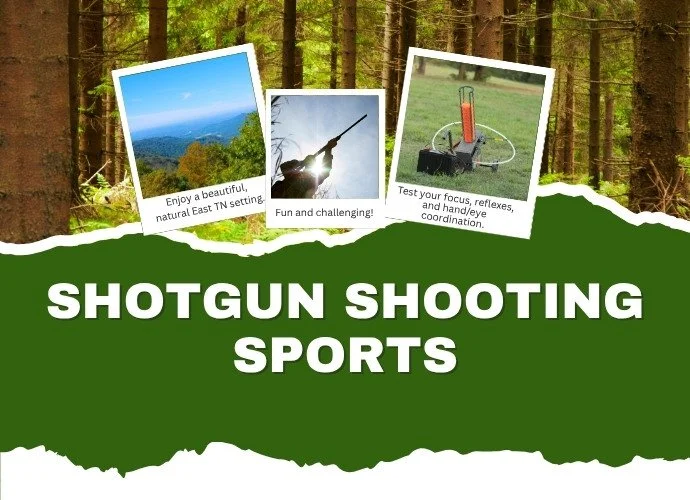 Shotgun Shooting Sports