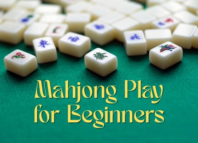 Mahjong Play for Beginners - Afternoon