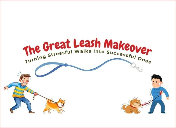 The Great Leash Makeover