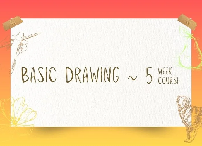 Basic Drawing - 5 Week Course