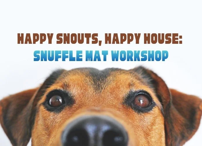 Happy Snouts, Happy House: Snuffle Mat Workshop