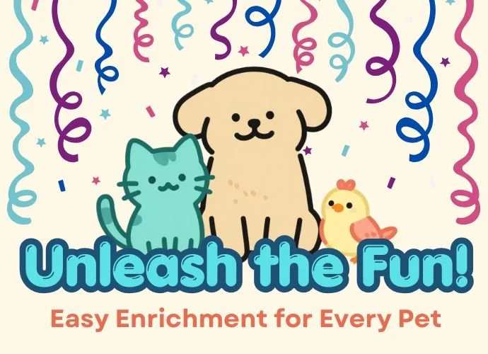 Unleash the Fun!